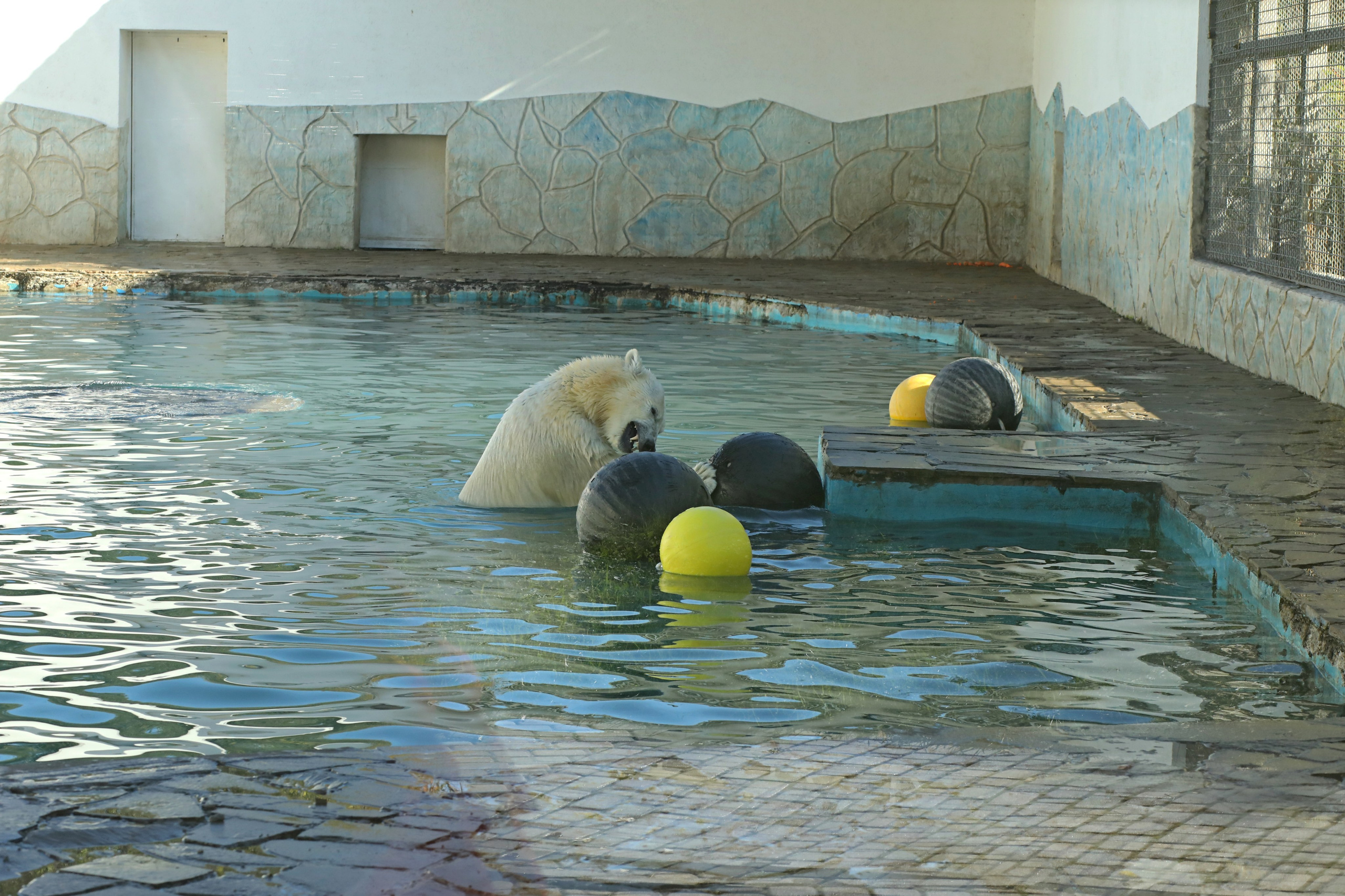 Ростовский зоопарк. Фото-художник и Репортажный фотограф Николаев Александр Алексеевич
