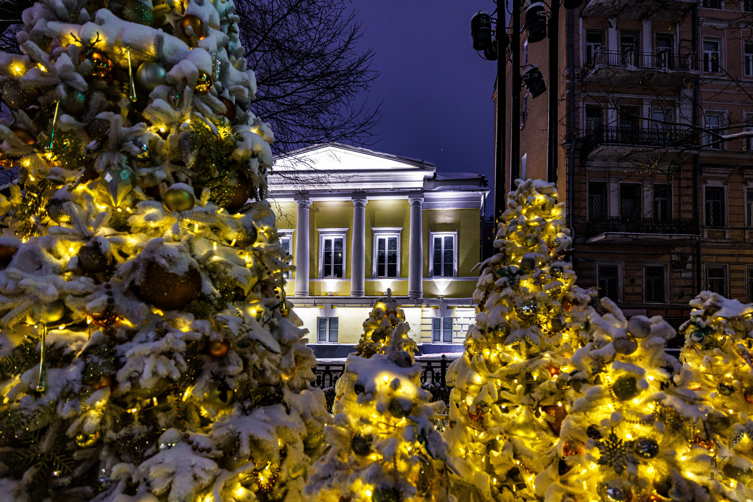 Бульвар. Январь 2026. Фотографирую жизнь! Московский фотограф волонтер