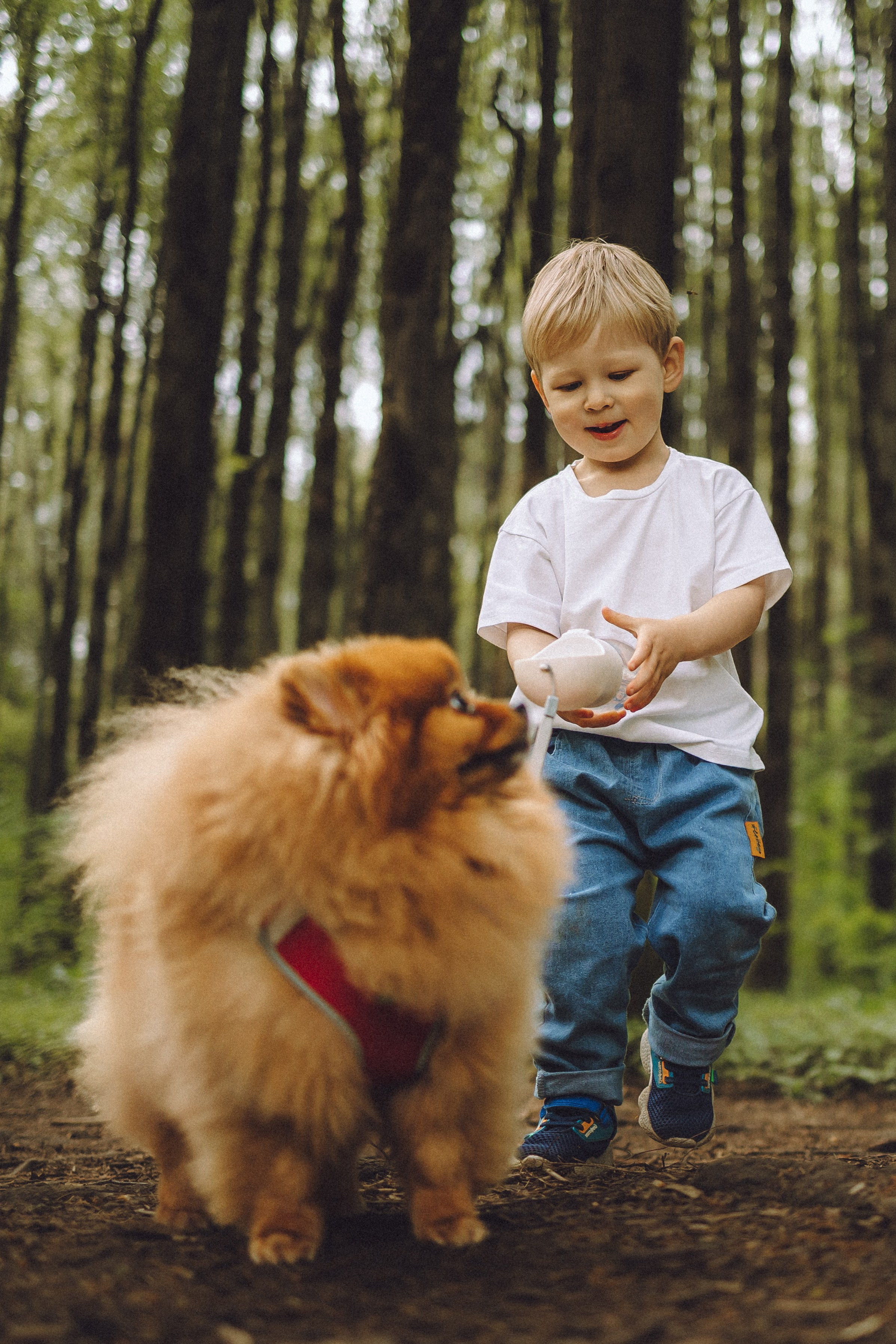 Лорик и его семья