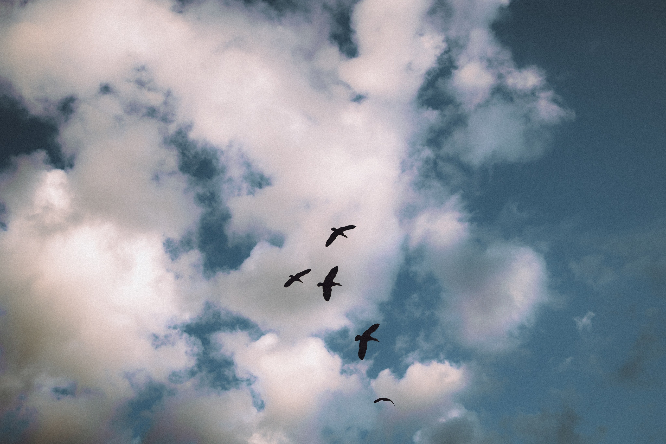 Пуговка и ее семья