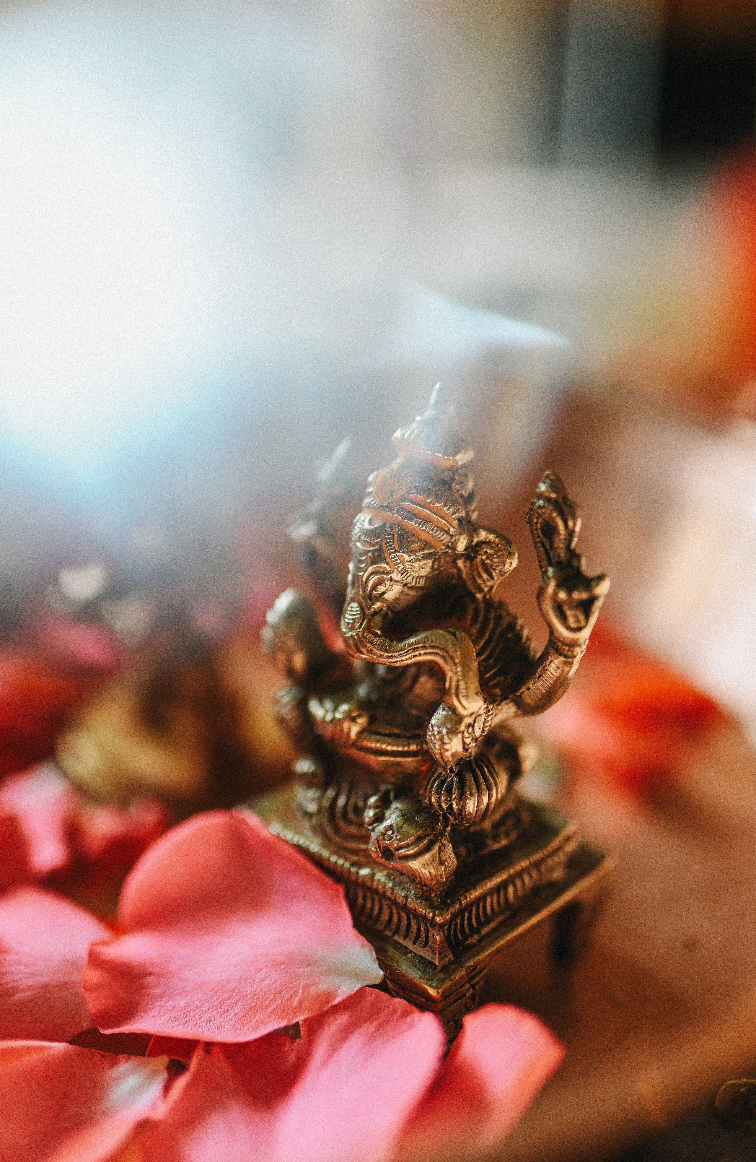 Bhutani’s + Salaj’s. Photographer Vasilisa Gordeeva