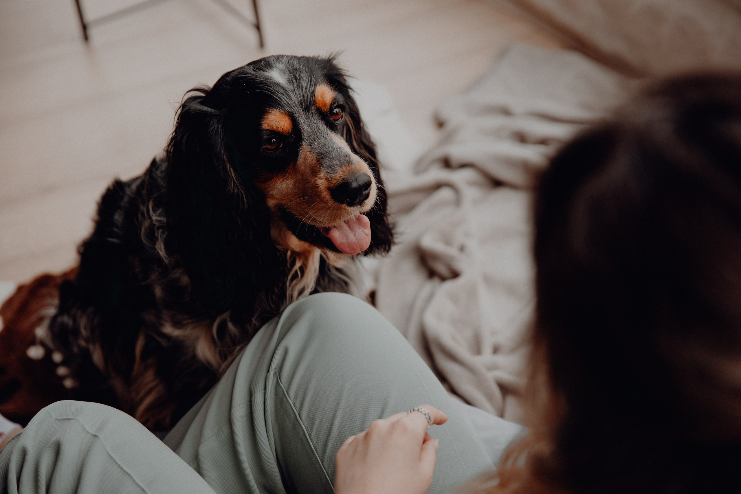 Ася ღ Заур. Портфолио