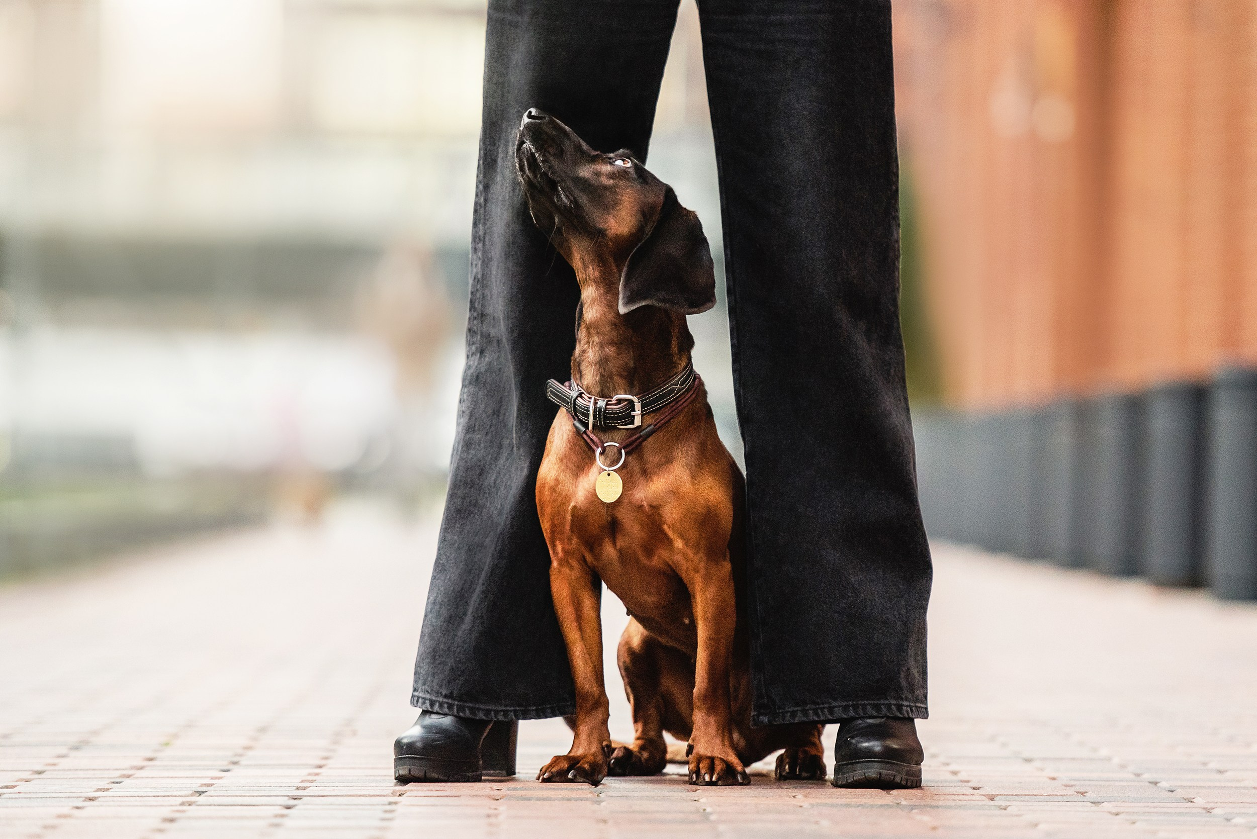 Катя, Дима и Дакота. Городская Love Story. Семейный Фотограф в Москве Ирина Хохлова