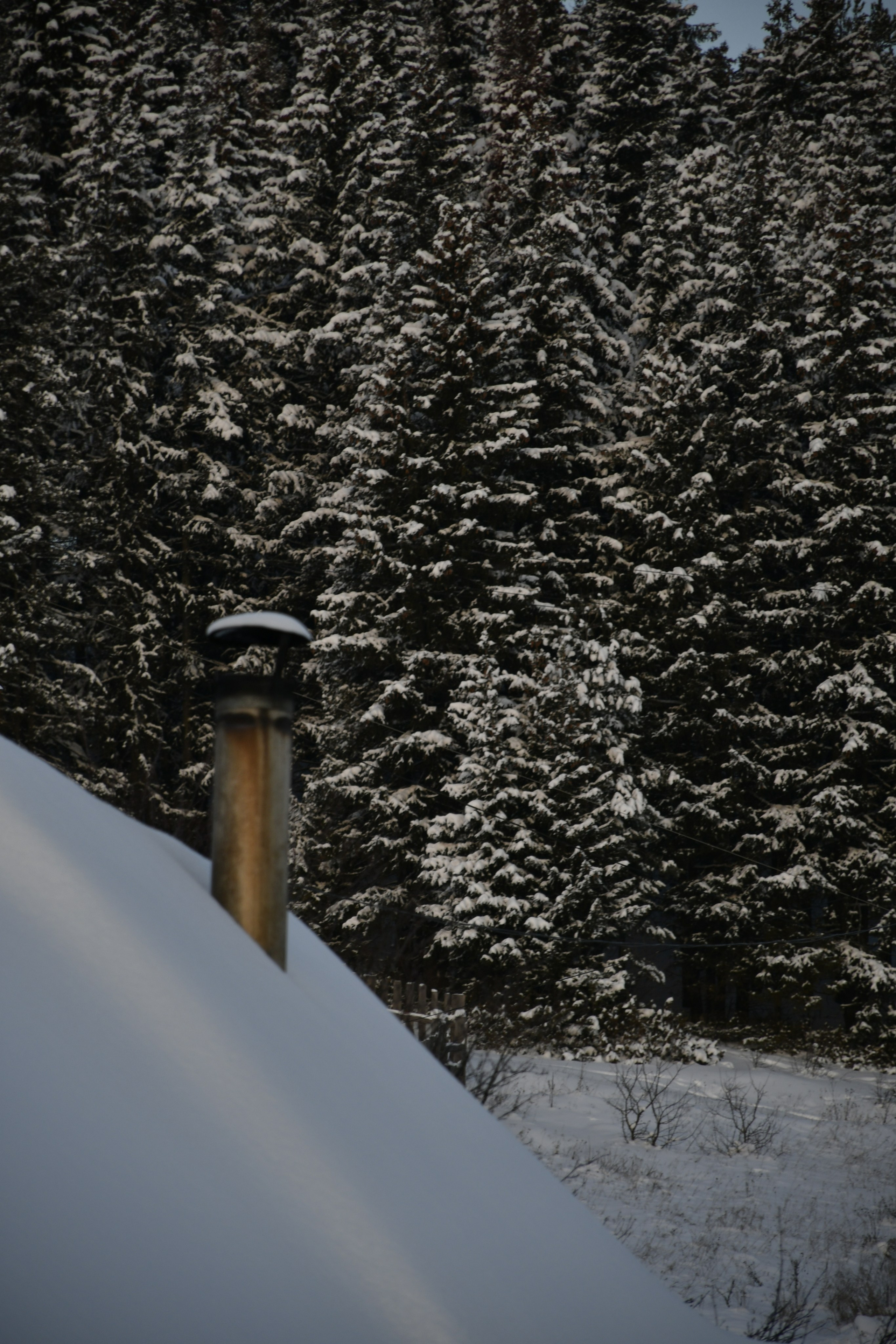 Природа. Анастасия Куц | фотограф | Пермский край