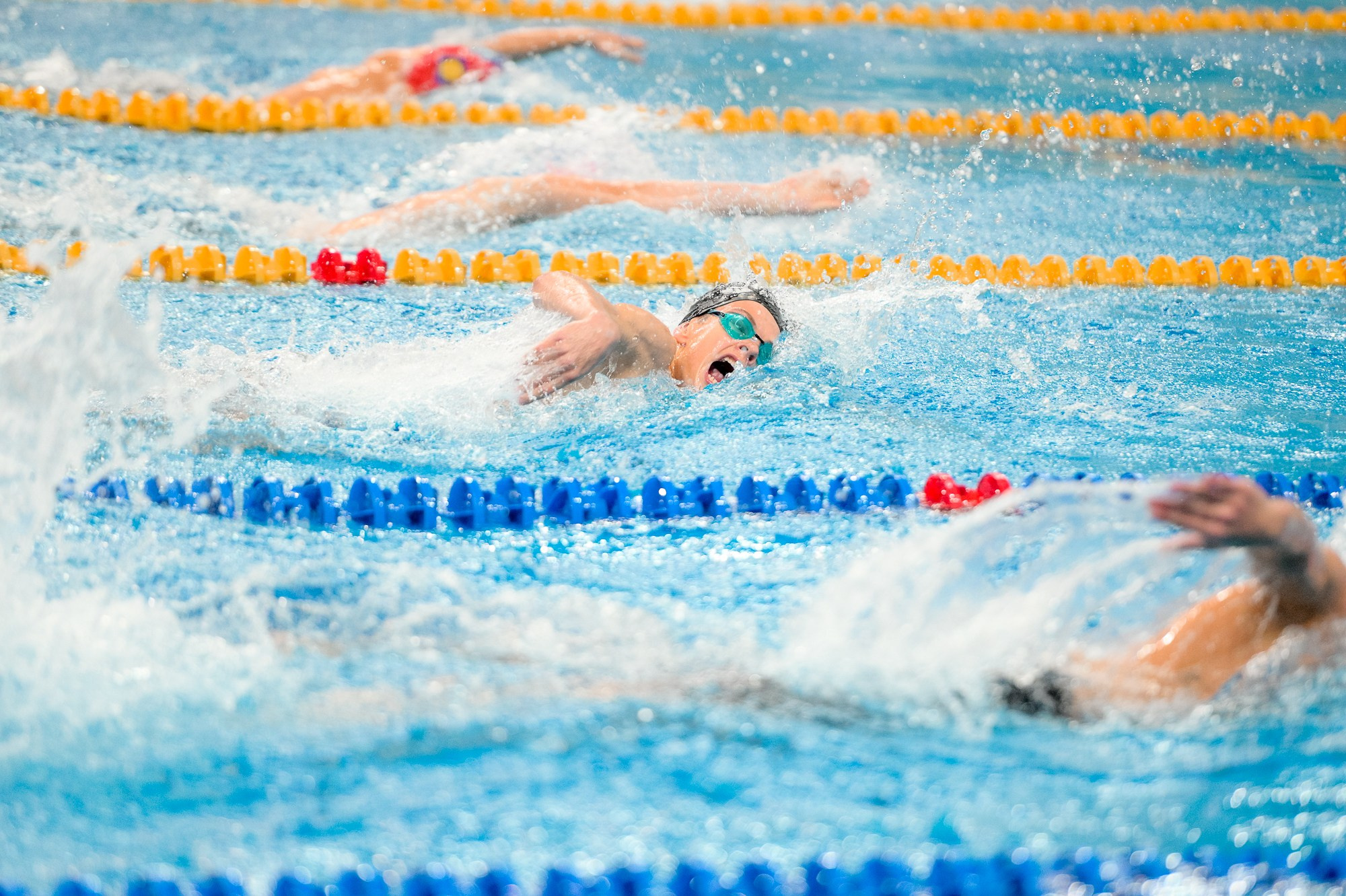 Плавание. Елена Дружинина. Спортивный и репортажный фотограф