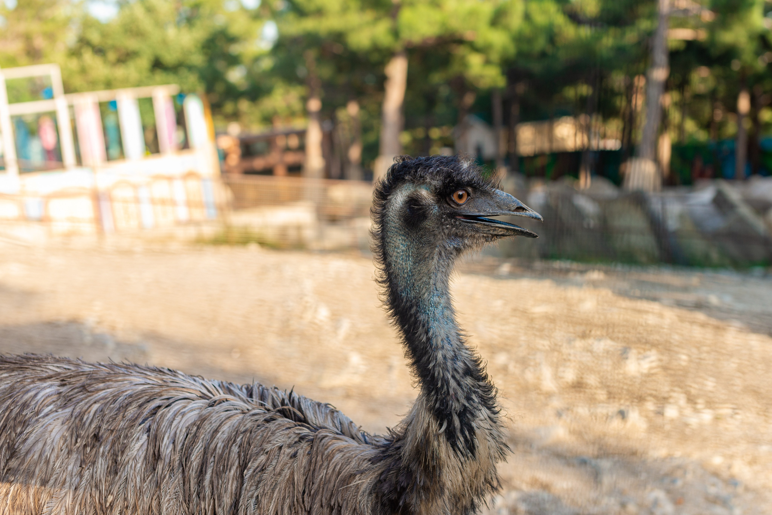Июнь–Июль Отпуск Белореченск, Геленджик. Семейный, Свадебный фотограф СПБ Питер— Романова Екатерина