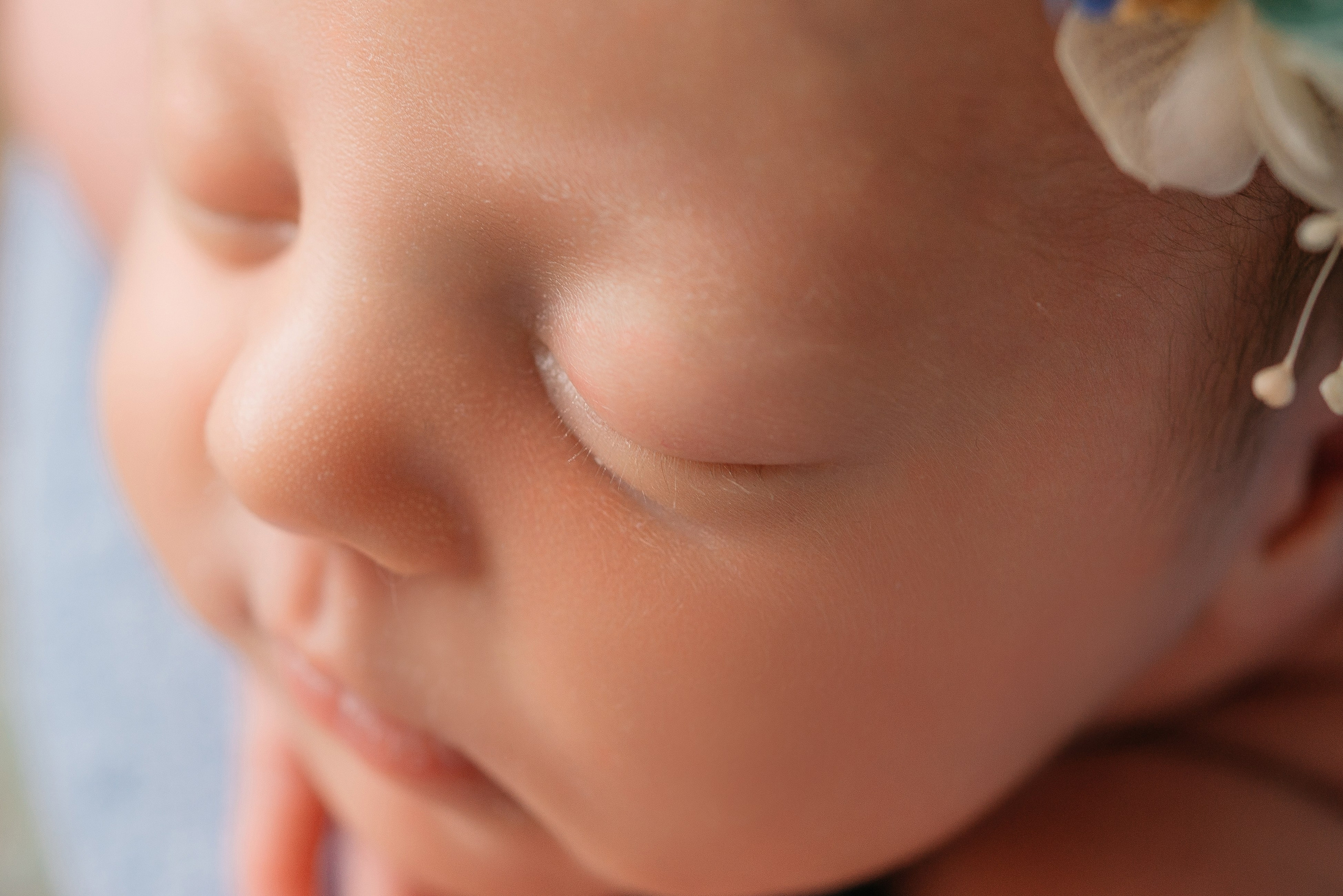 Ева. Фотограф новорожденных Белгород