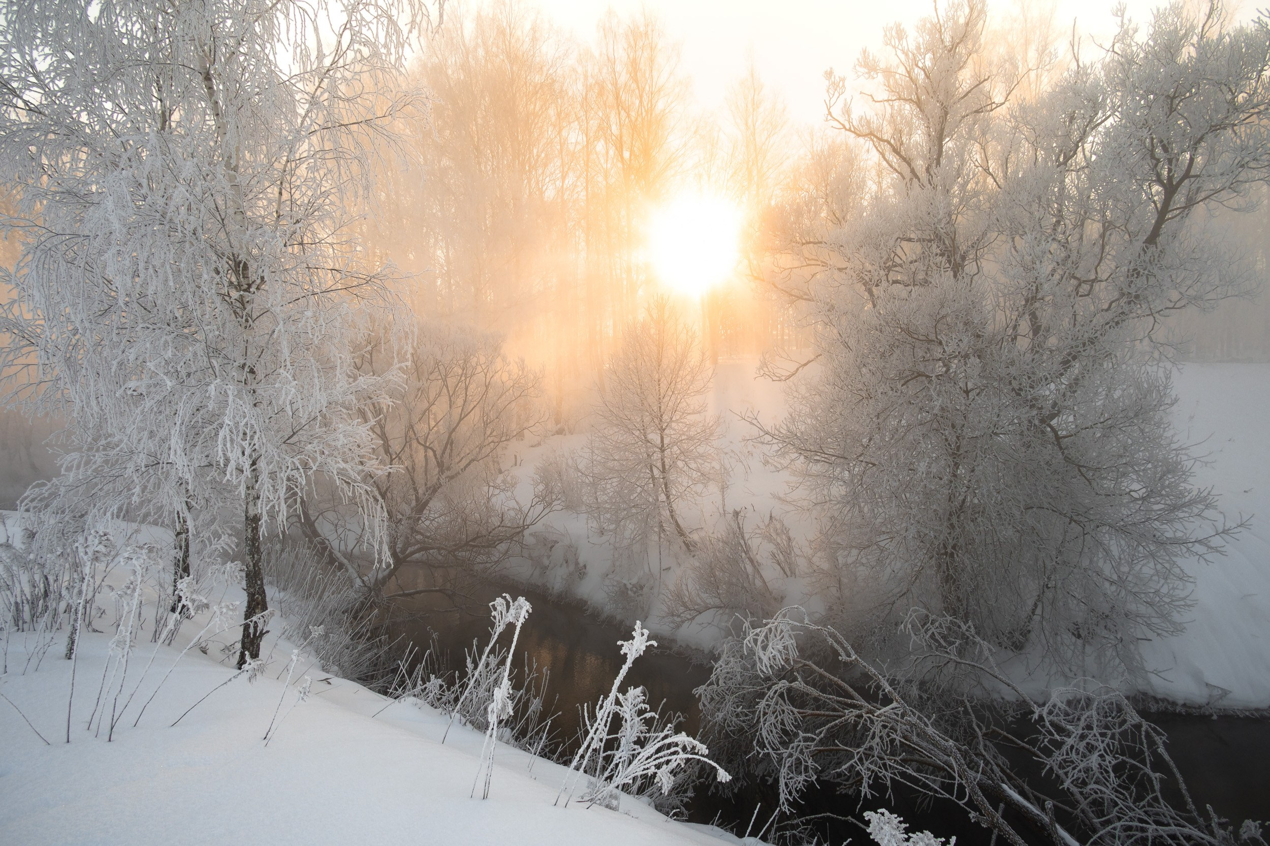 Река Дёготня. Фотограф и видеооператор в Туле | Даниил Рыбак