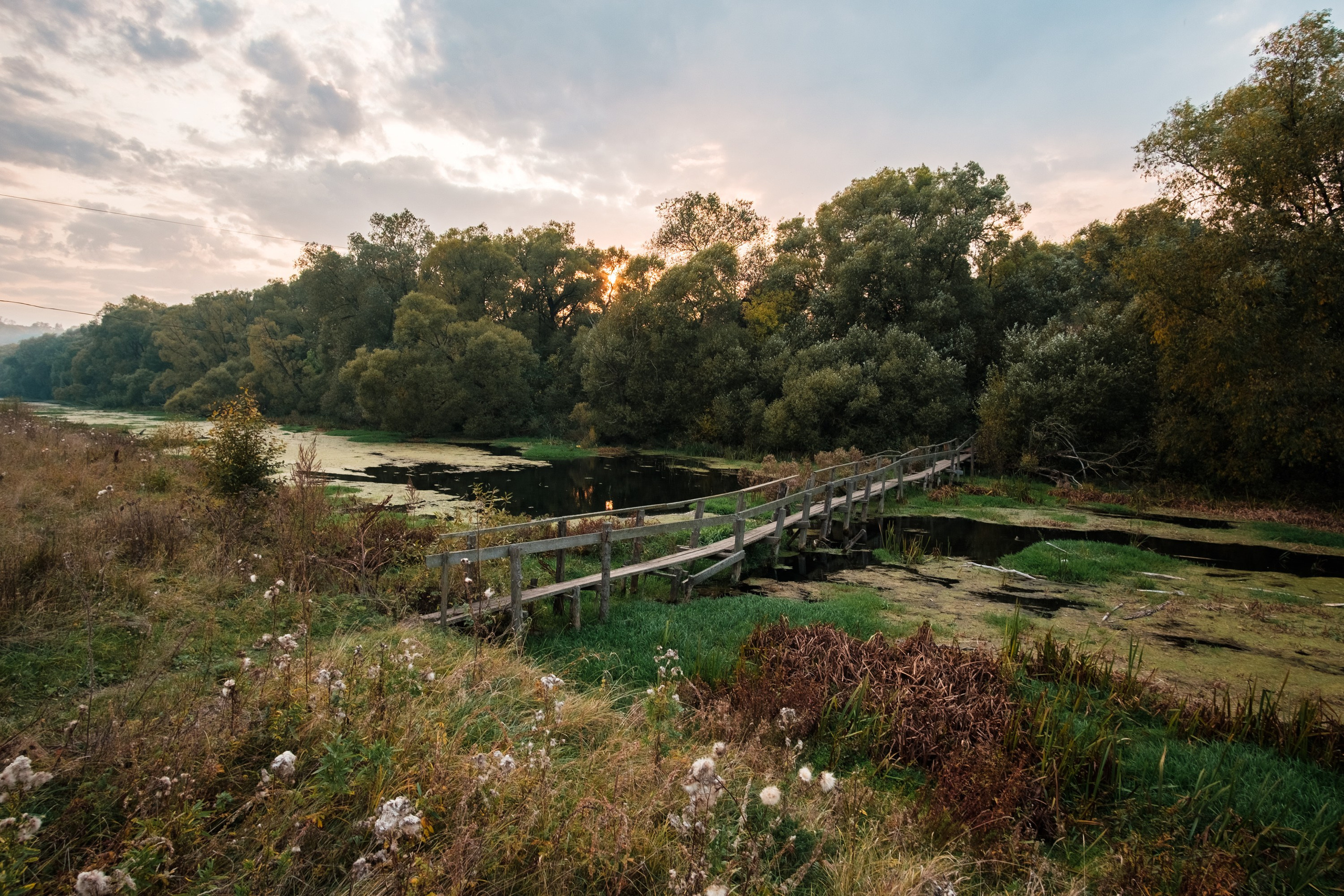 Нарышкино. Фотограф и видеооператор в Туле | Даниил Рыбак