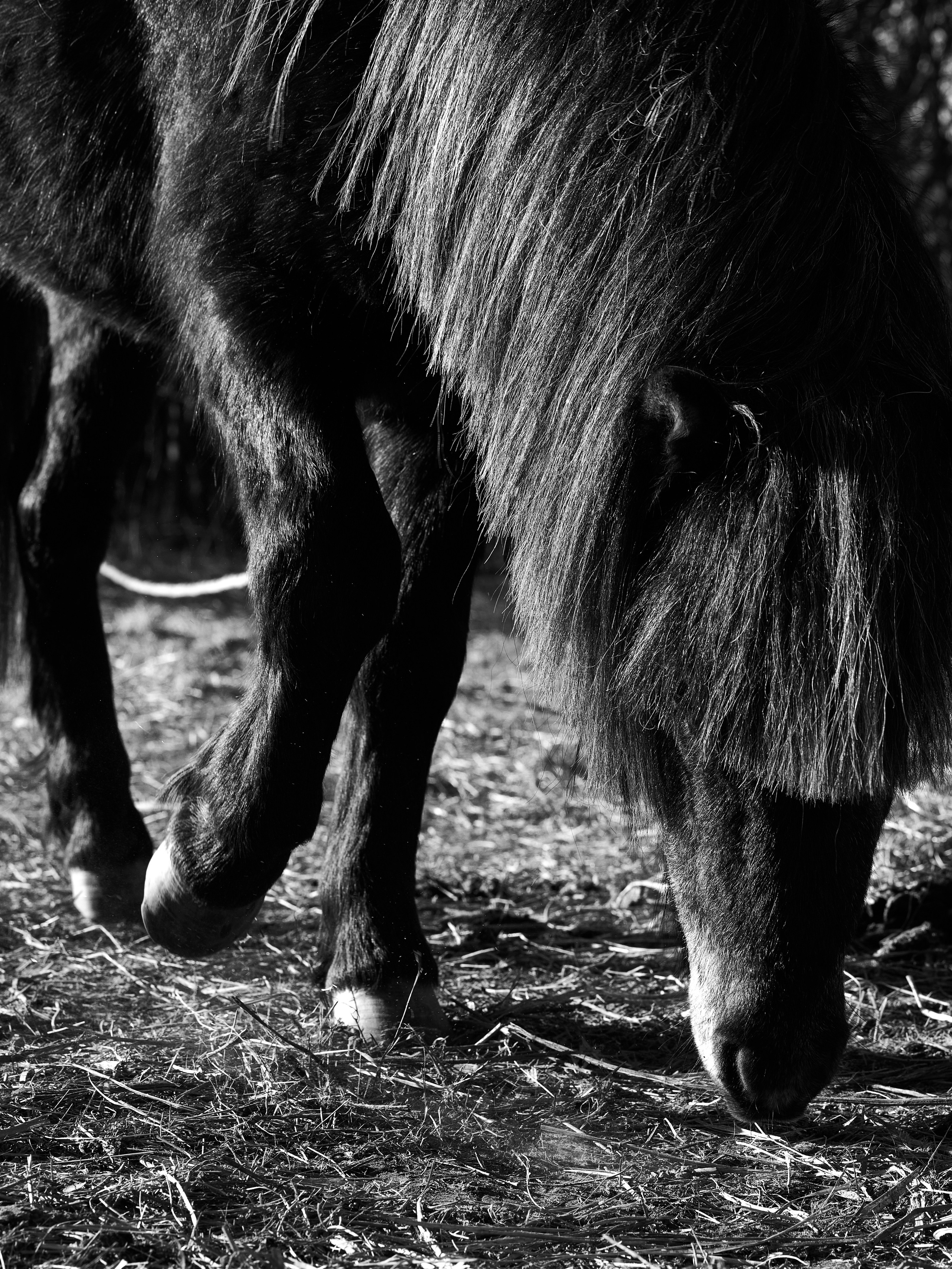Студийная съёмка в киберпанк стиле. Фотограф в Москве Анастасия Баева