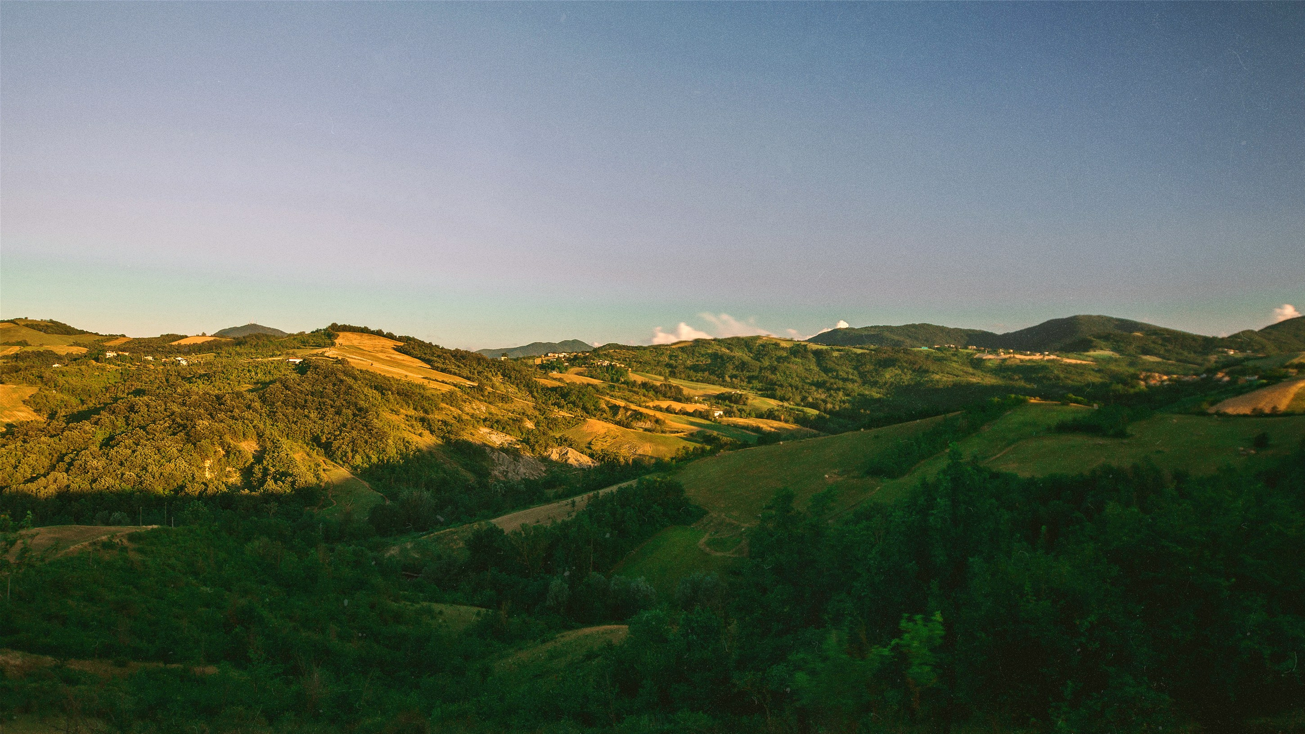 N a t u r e. Your photographer