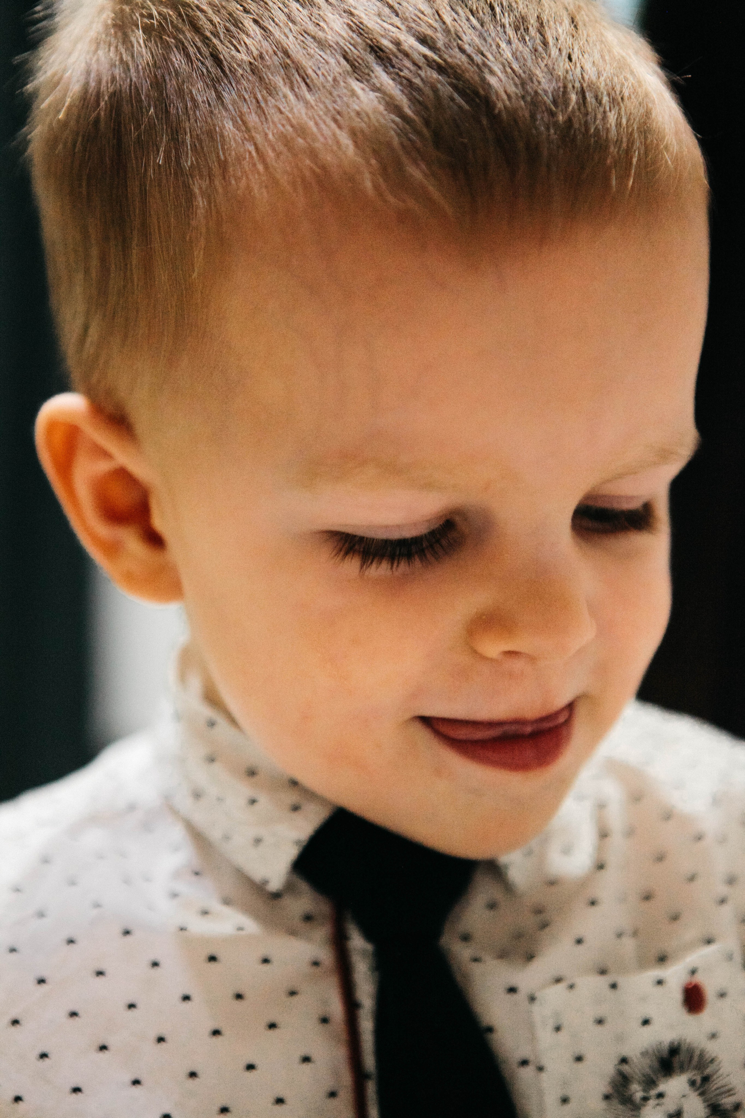 Лев. Фотограф Ольга Крукле