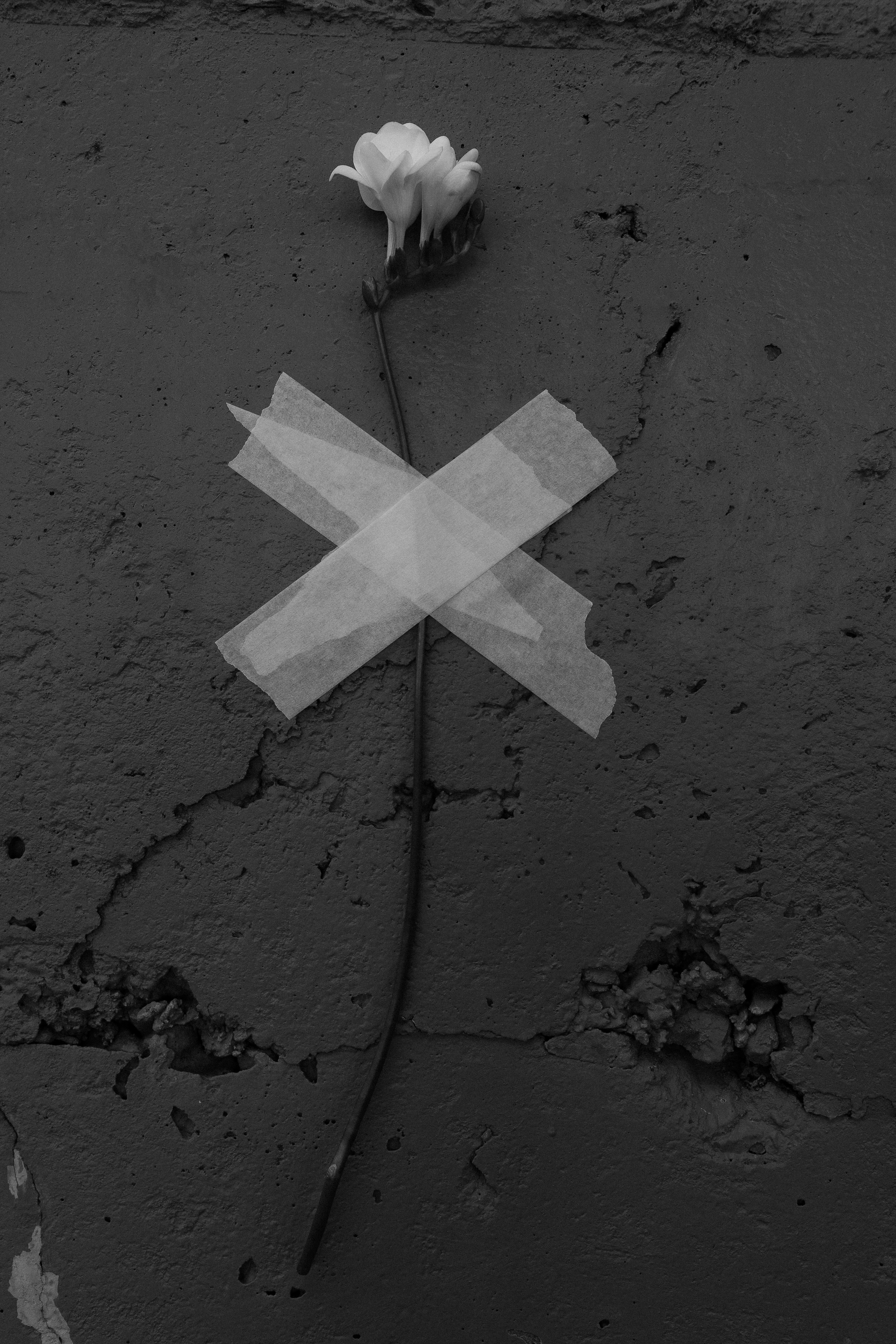 Гранж. Свадебный фотограф Волгоград, Волжский