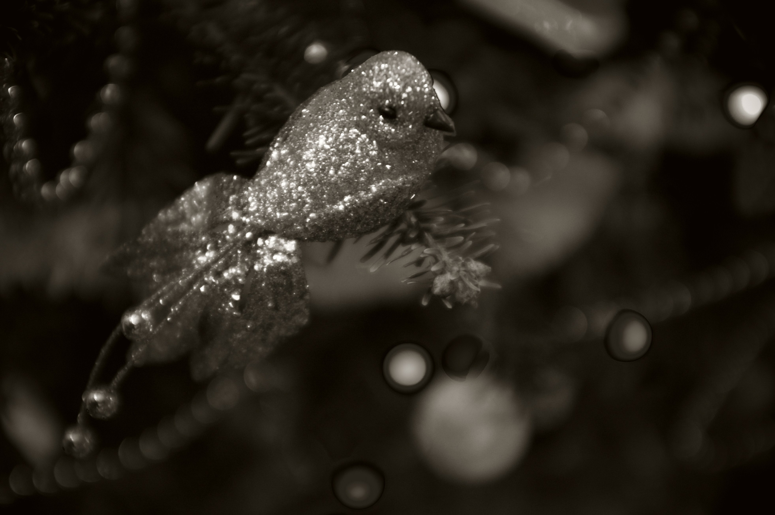 Черно-белое. Миша Печёнкин | фотография