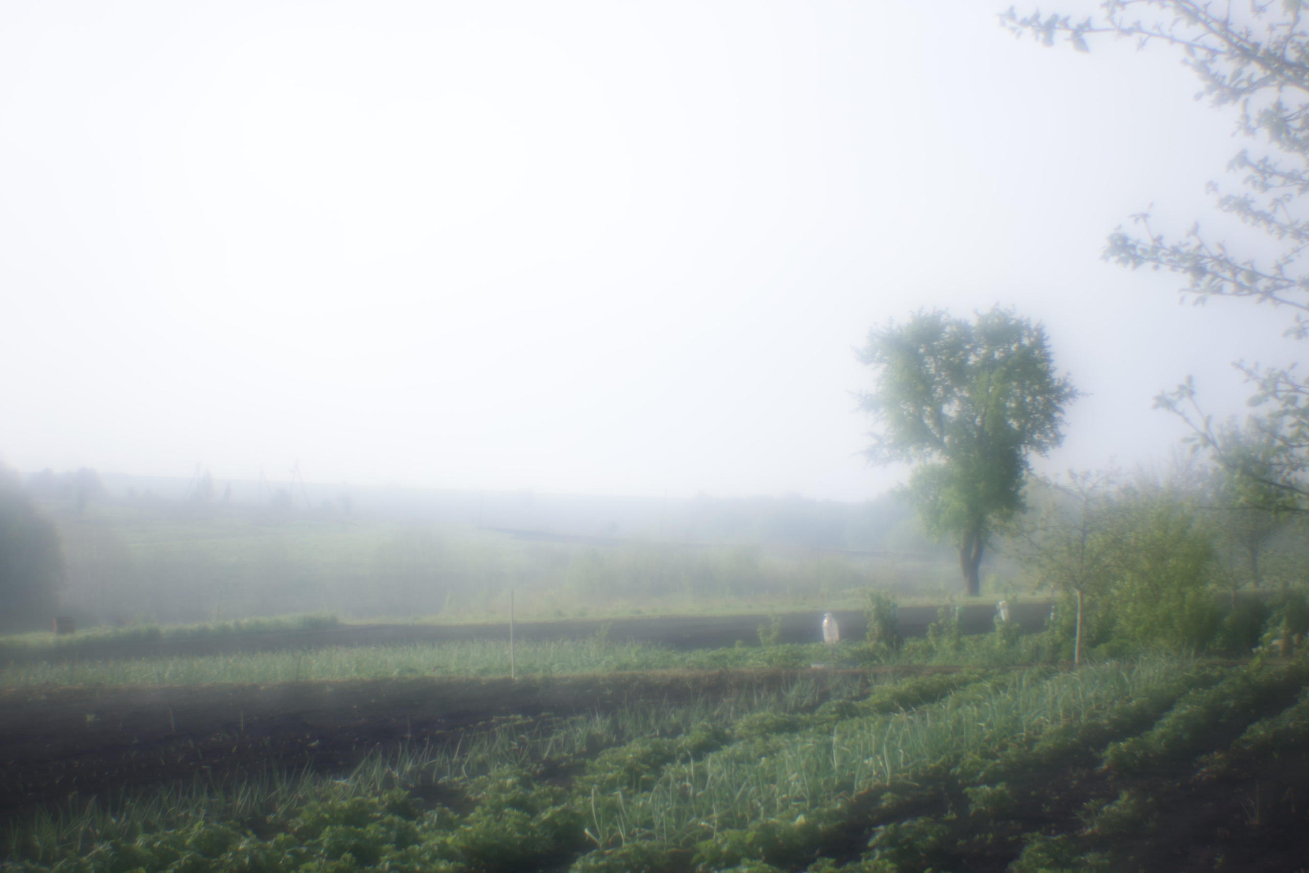 Поэзия повседневности. Семейный фотограф в Москве Марина Аргунова
