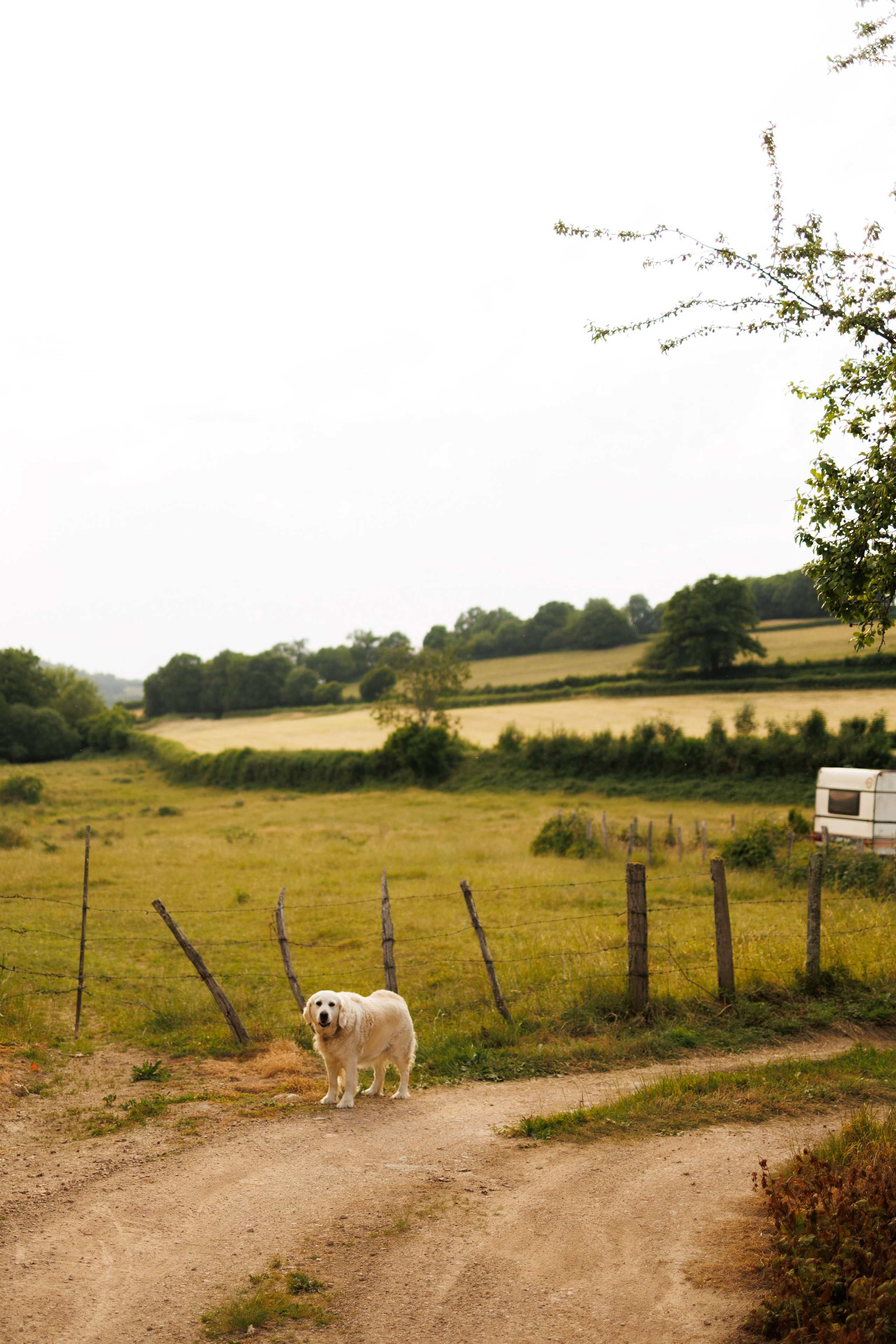 Марианна +Оливье +Габриэль + Георгий. Семейный и детский фотограф в Королёве Шарутина Лидия