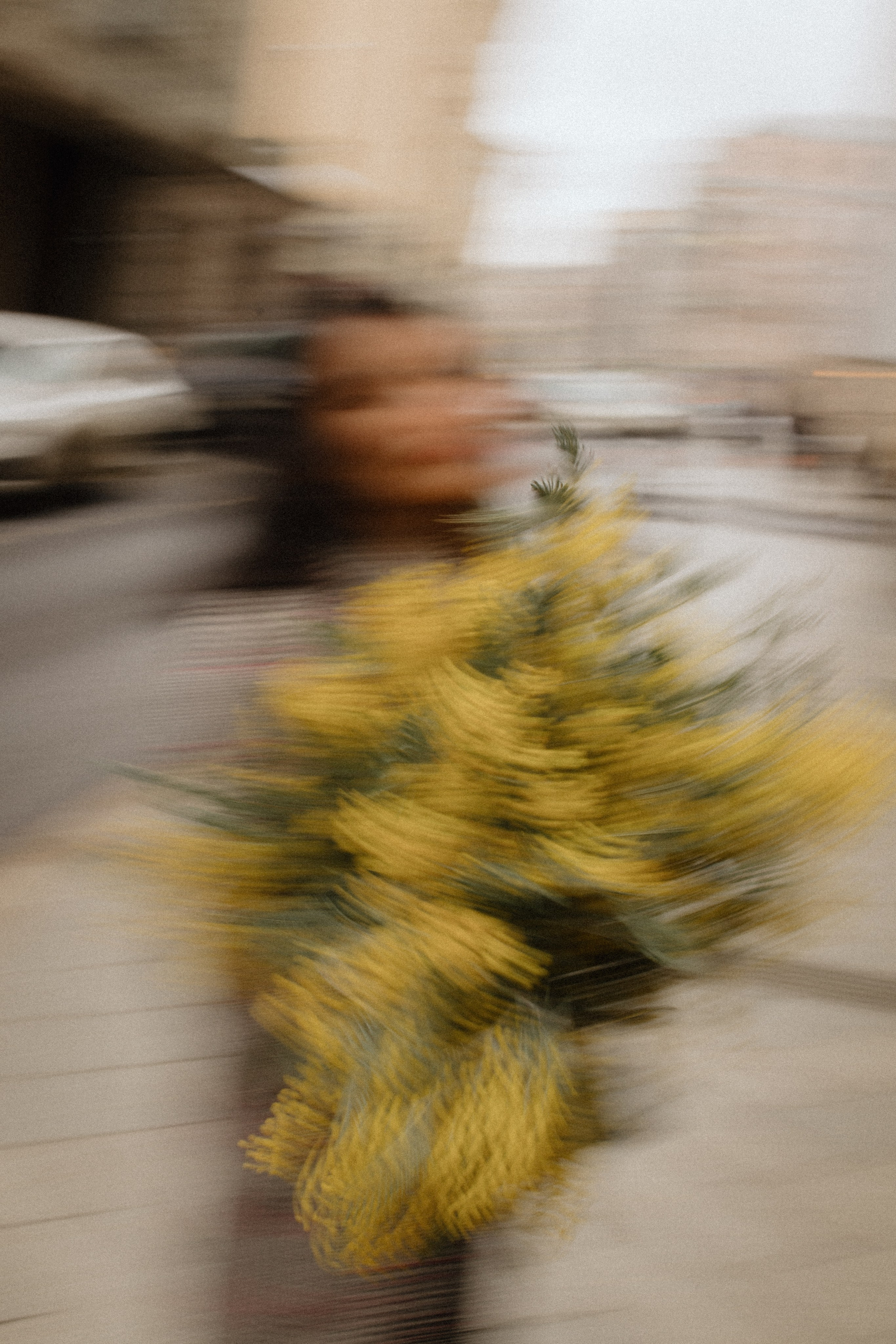 Кристина. Семейный и детский фотограф Юлия Шох