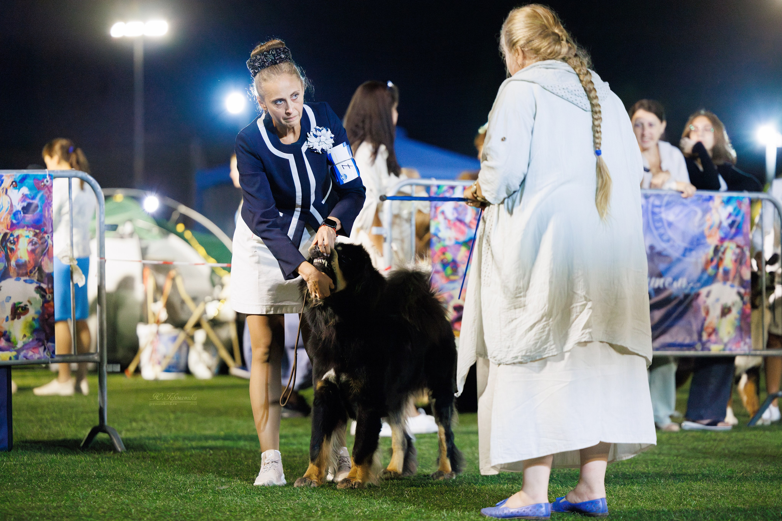 Волгоград 2-4.08.2024. Фотограф-анималист Юлия Германика
