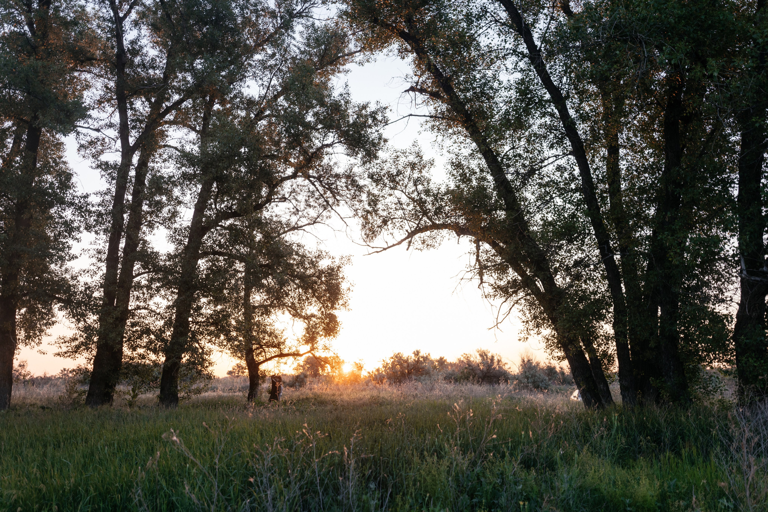 Водушный шар. Фотограф Крохин Олег