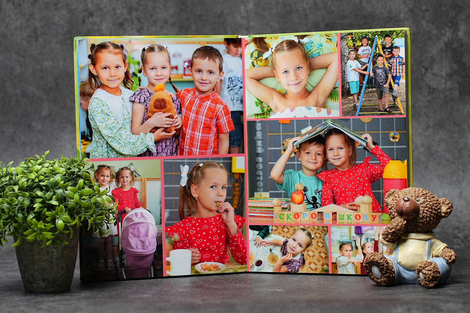 Мои контакты