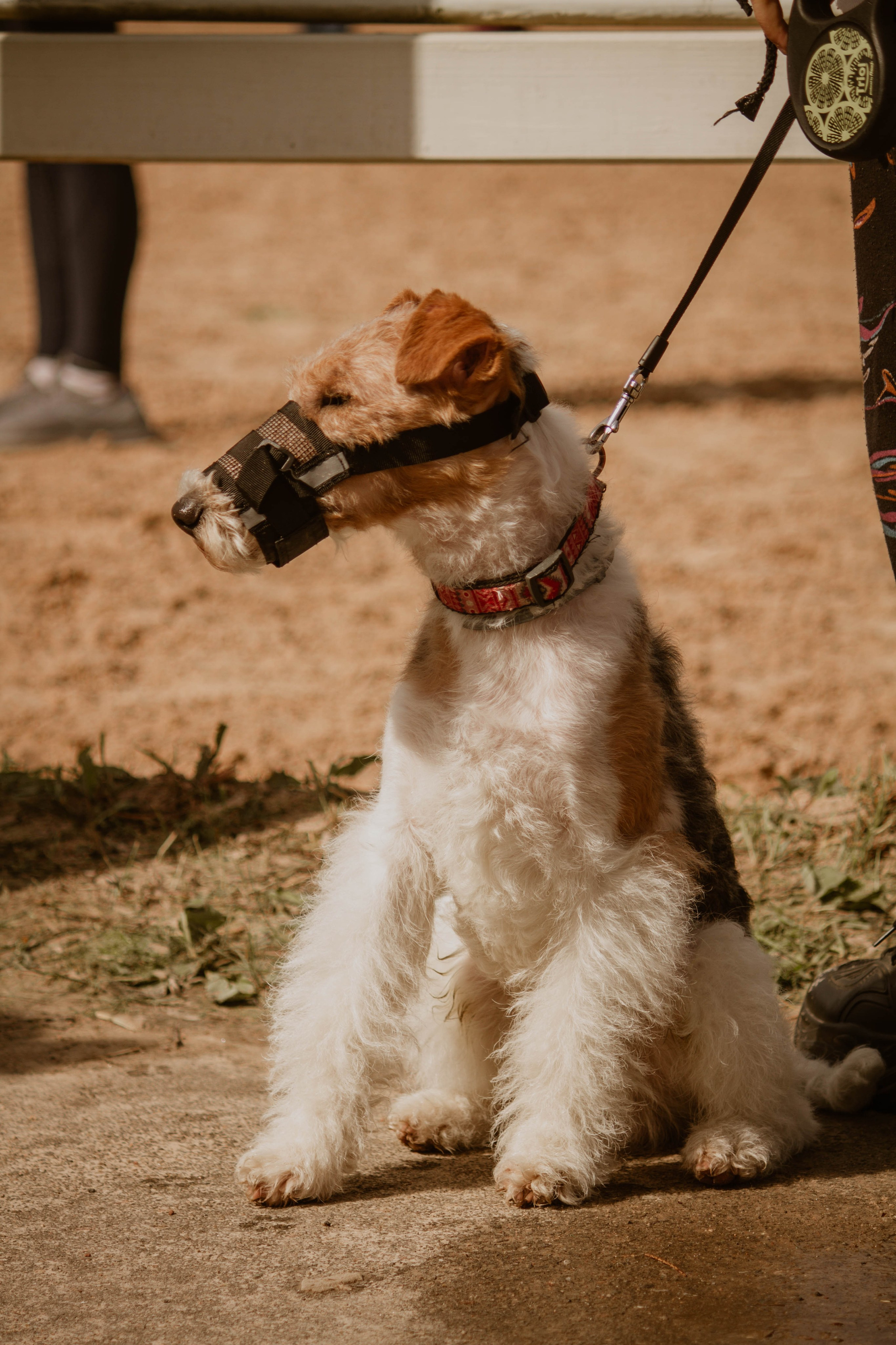 ИППОСФЕРА — Международная конная выставка. Создадим шедевр? Виталина и её фотоискусство