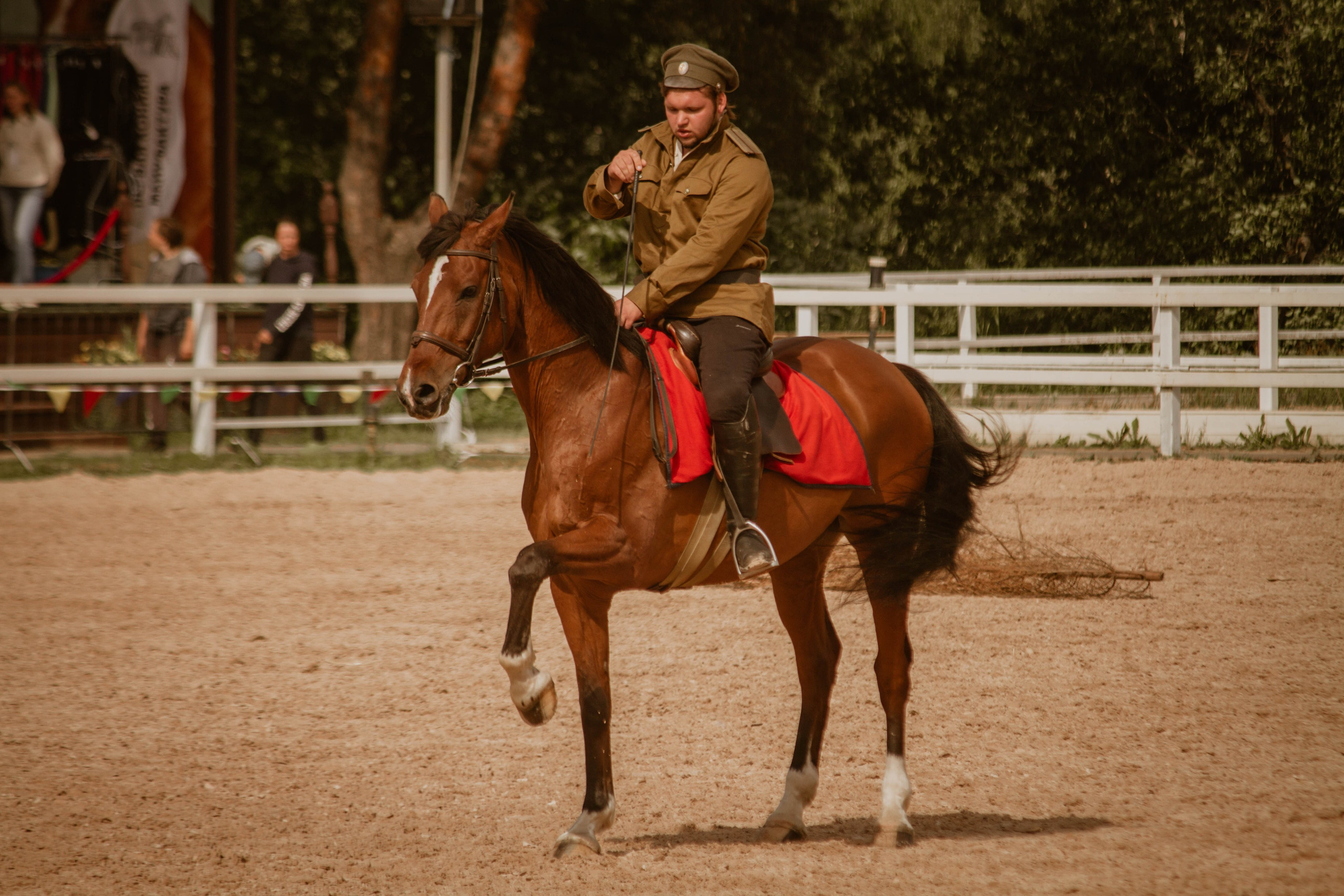 ИППОСФЕРА — Международная конная выставка. Создадим шедевр? Виталина и её фотоискусство