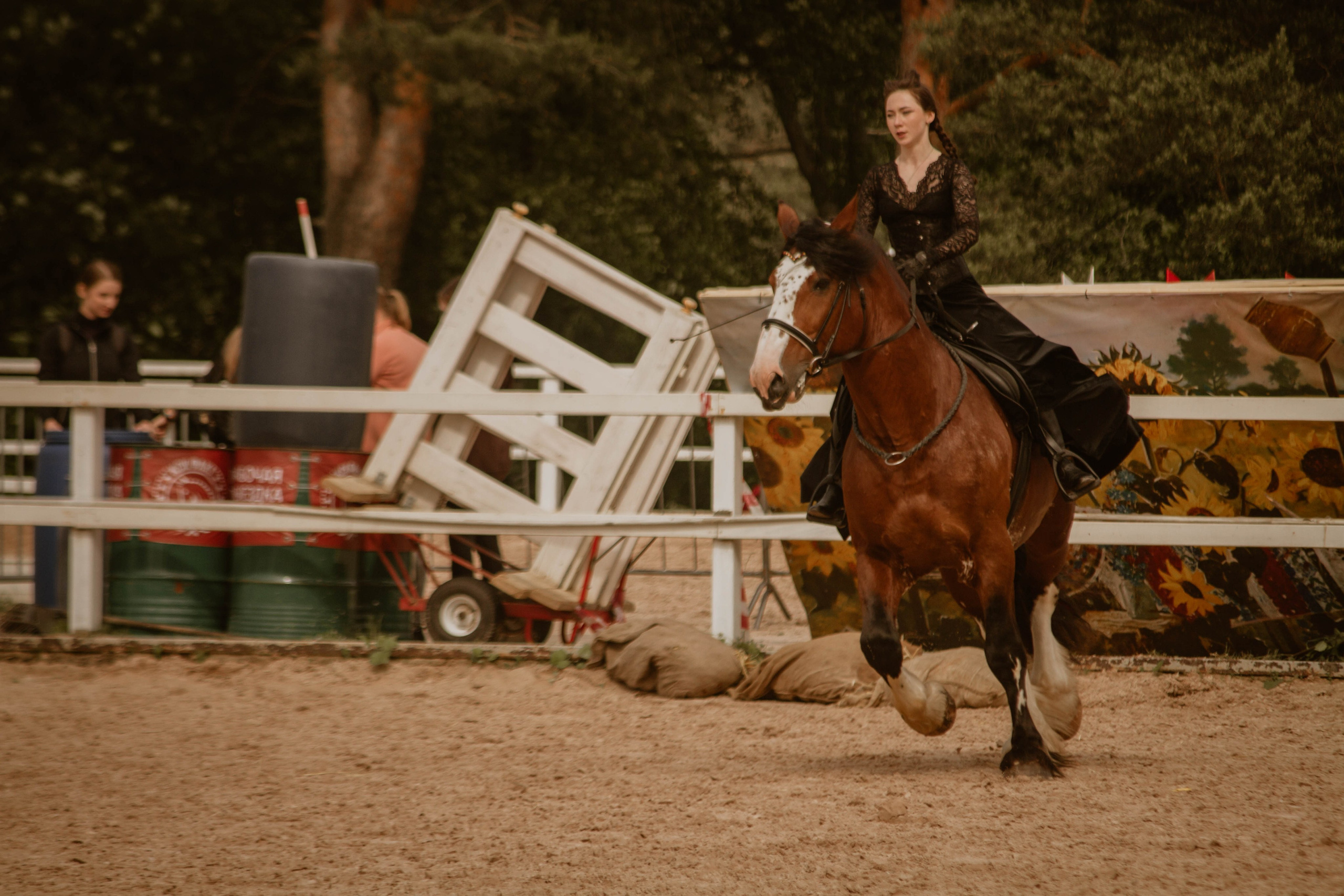 ИППОСФЕРА — Международная конная выставка. Создадим шедевр? Виталина и её фотоискусство