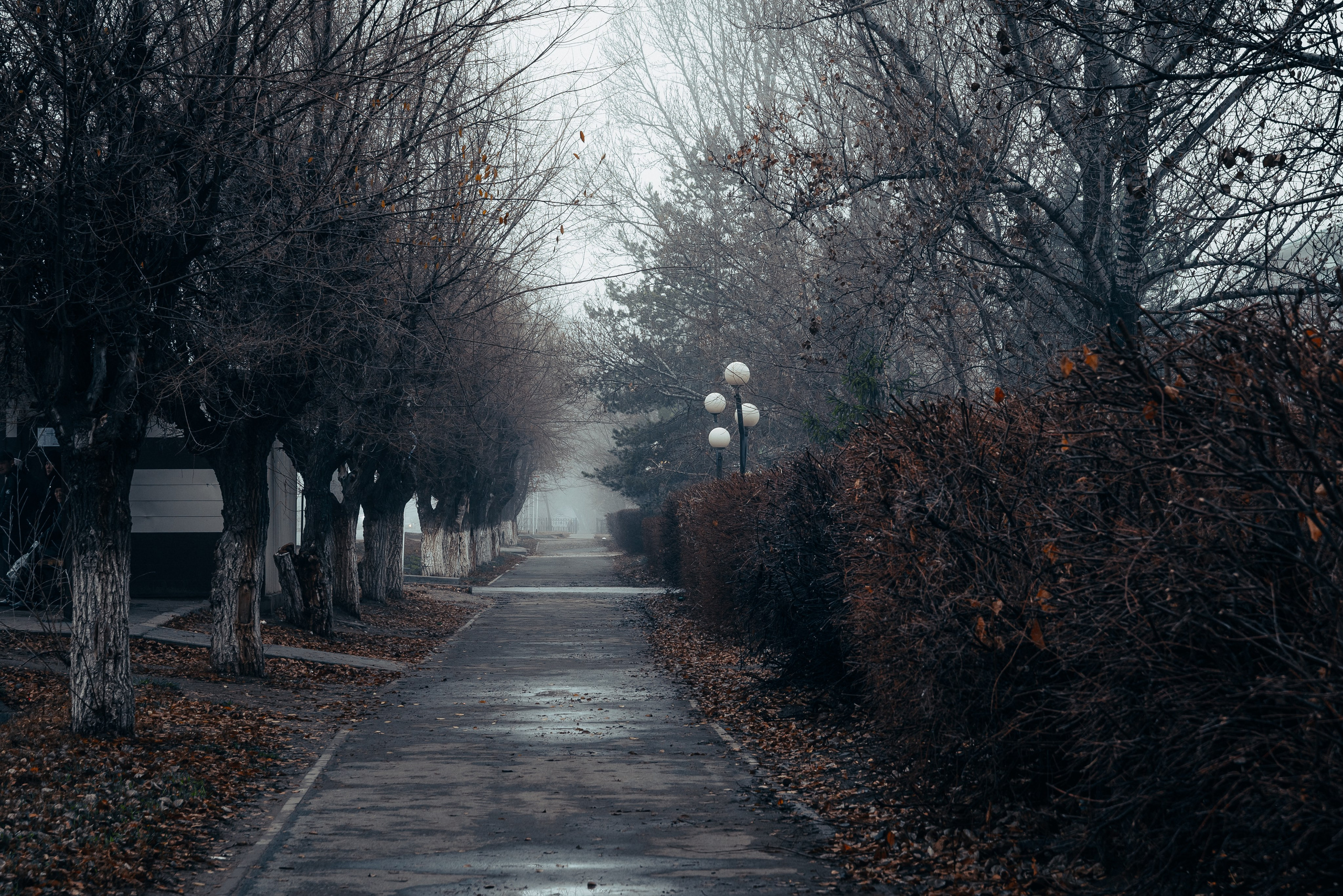 Пейзажи. Фотограф в Уральске | Трищенков Гордей