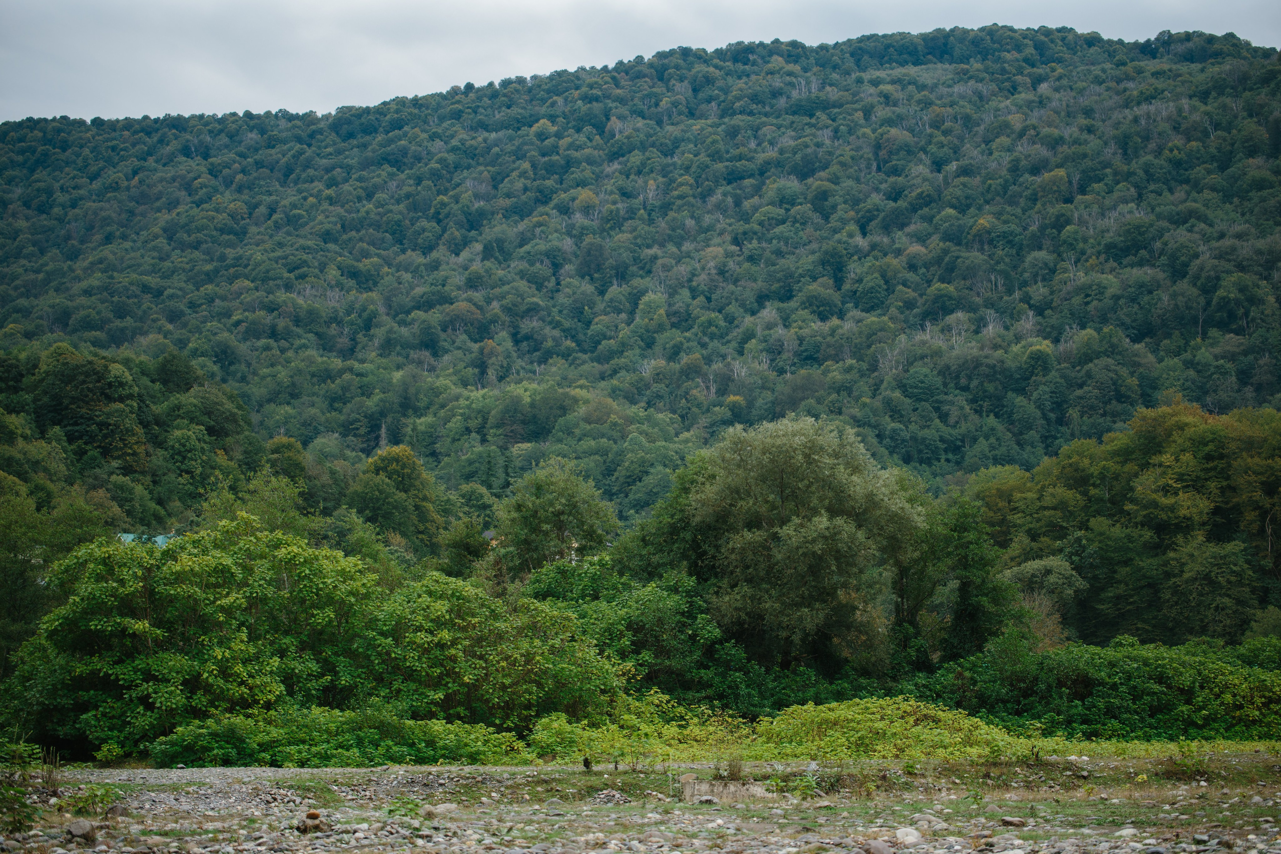 Оштенский Кордон. Семейный фотограф в Белгороде