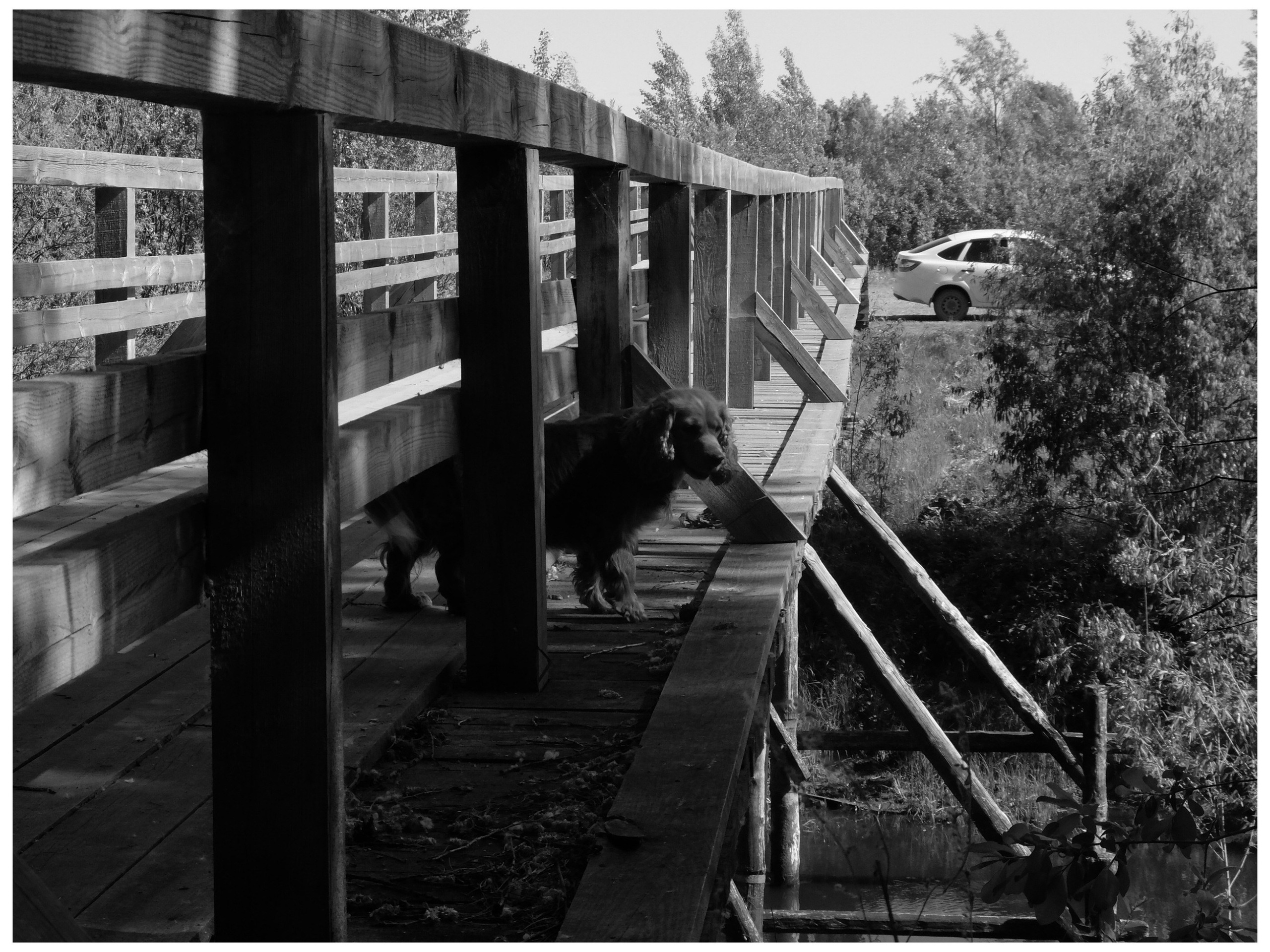 Промежуточные моменты (2022)