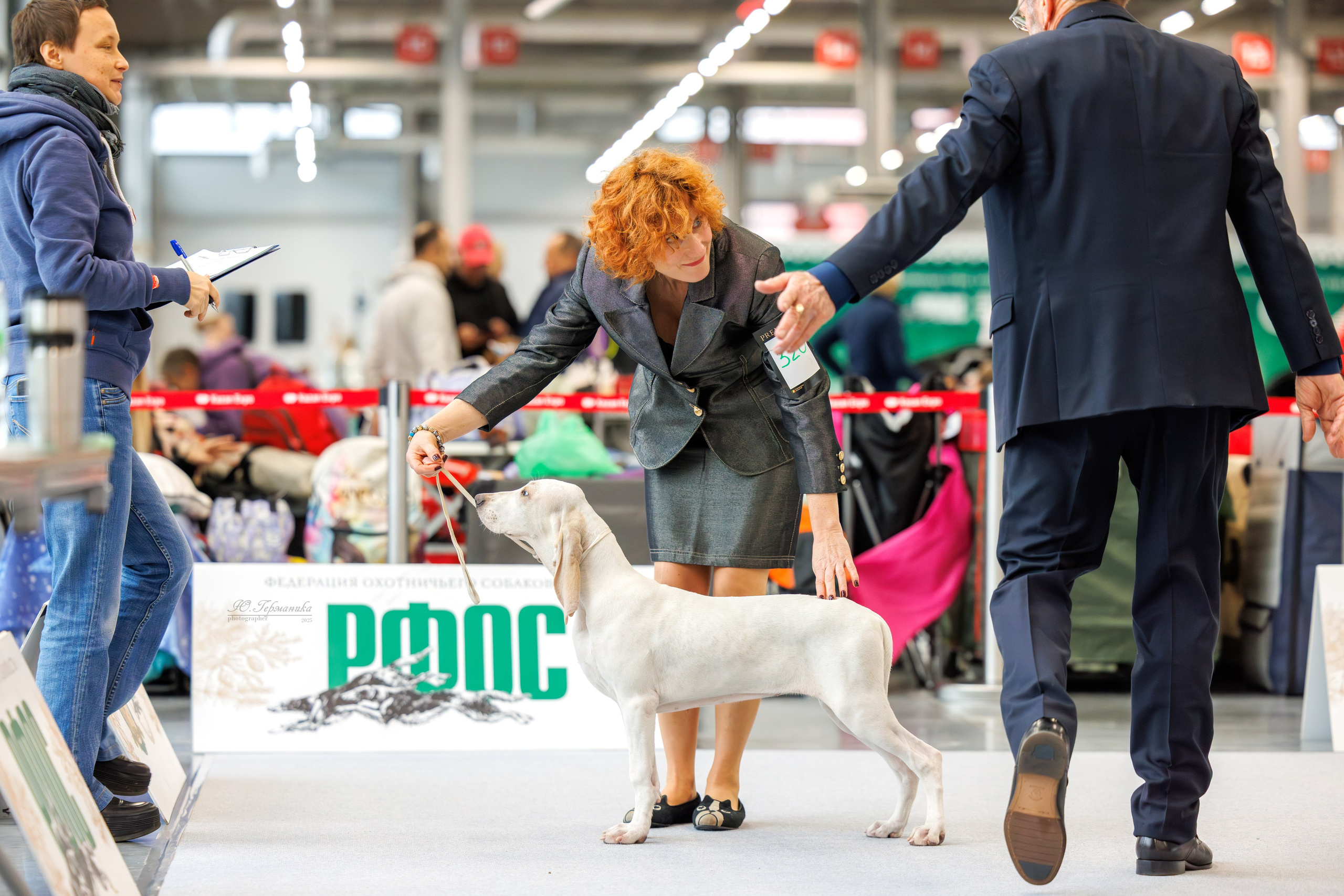 Зилант Казань 29-30.11.2025. Фотограф-анималист Юлия Германика