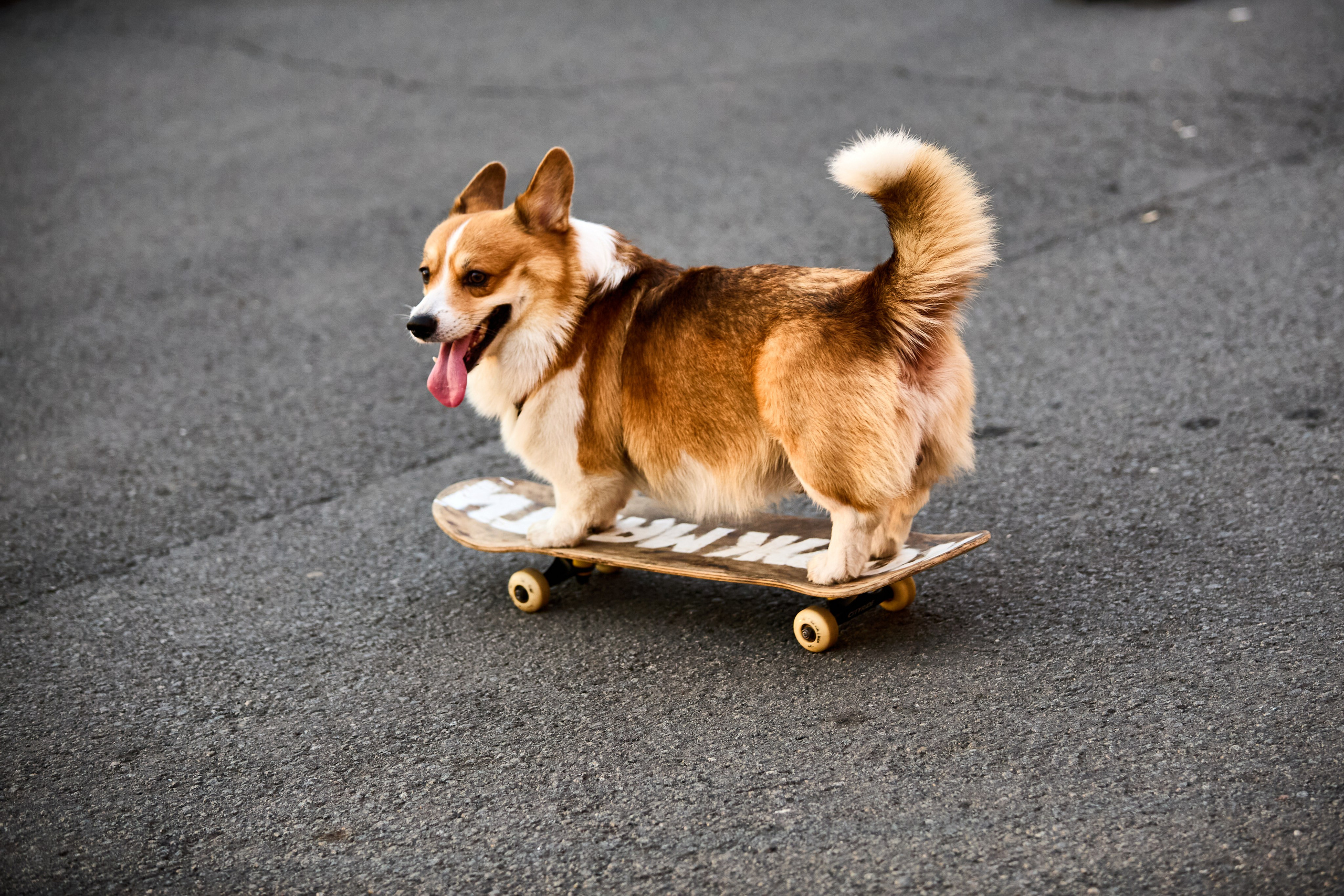 Зарисовки из поездки в Санкт-Петербург. Фотограф Антонина Гудкова