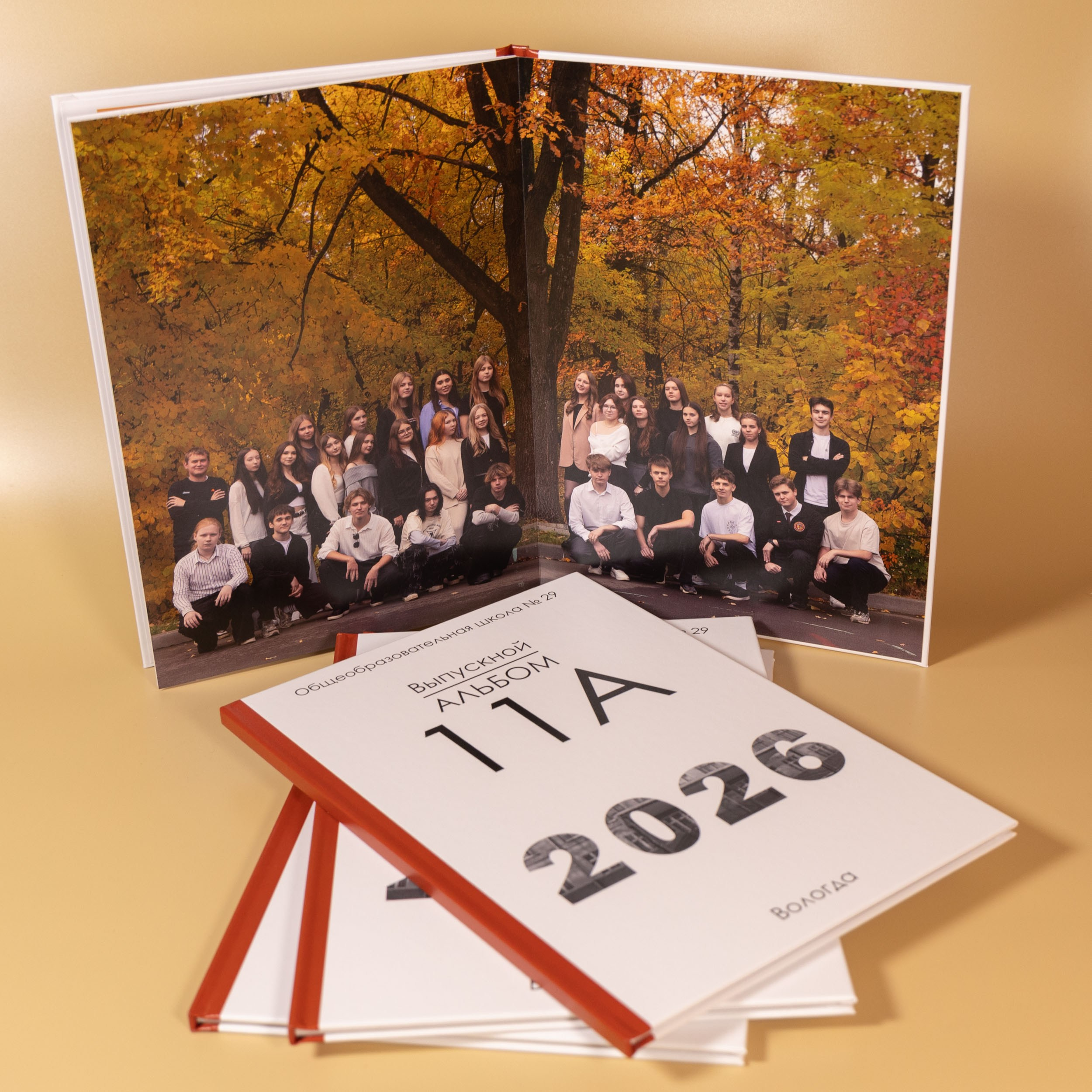 Выпускная папка для 11 класса в Вологде