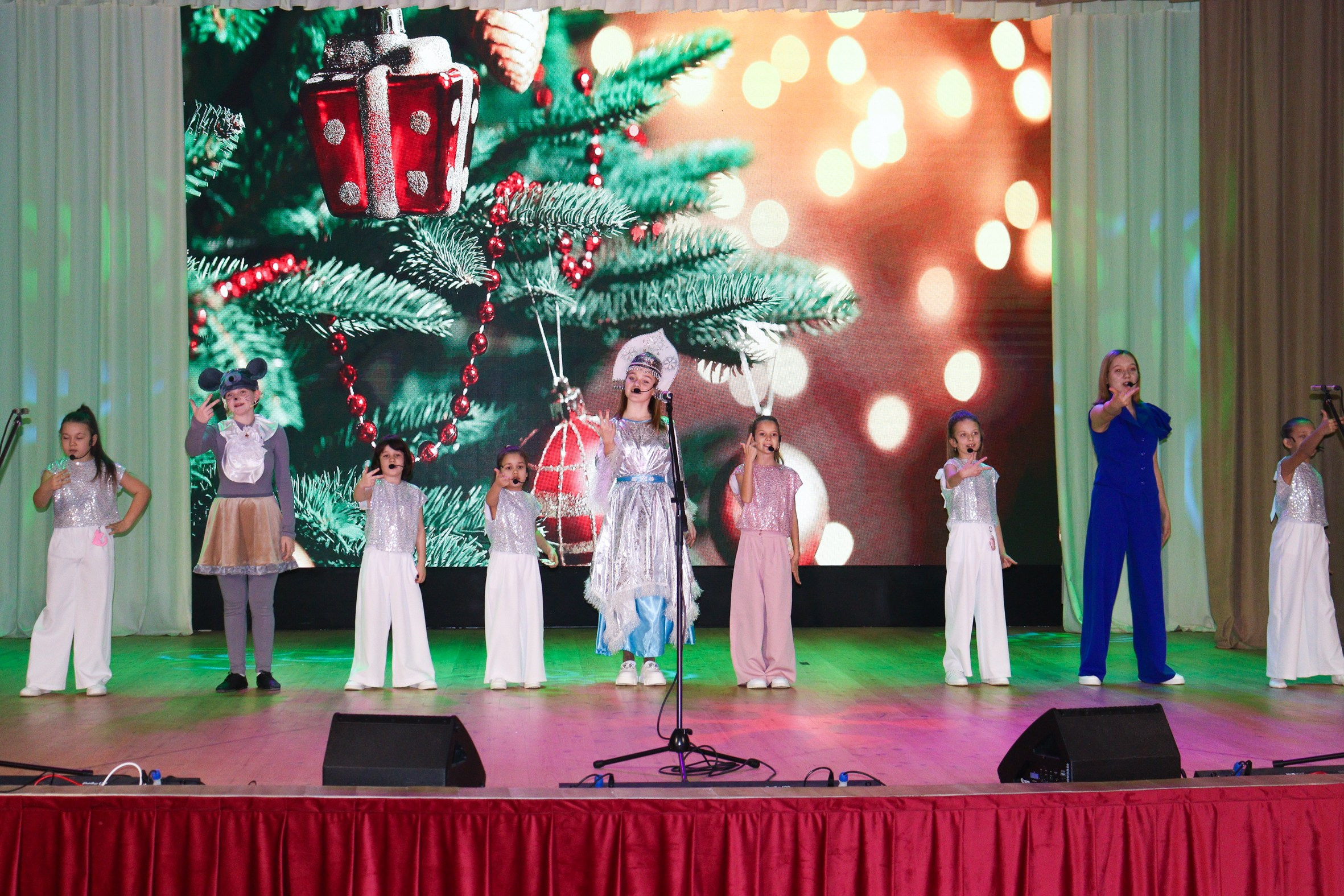 Новогодний концерт Шишли-Мышли