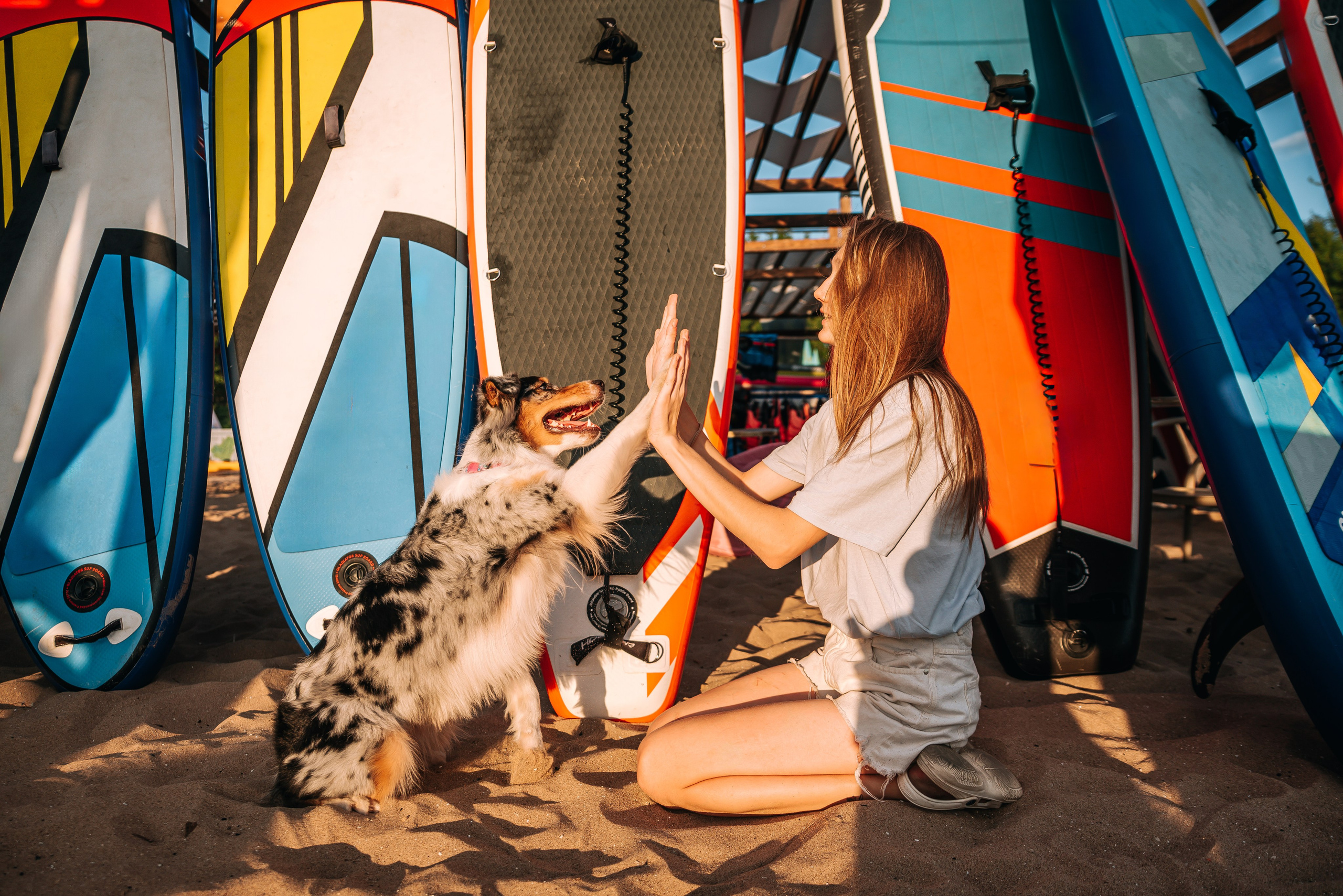 No Bad Days. Главная