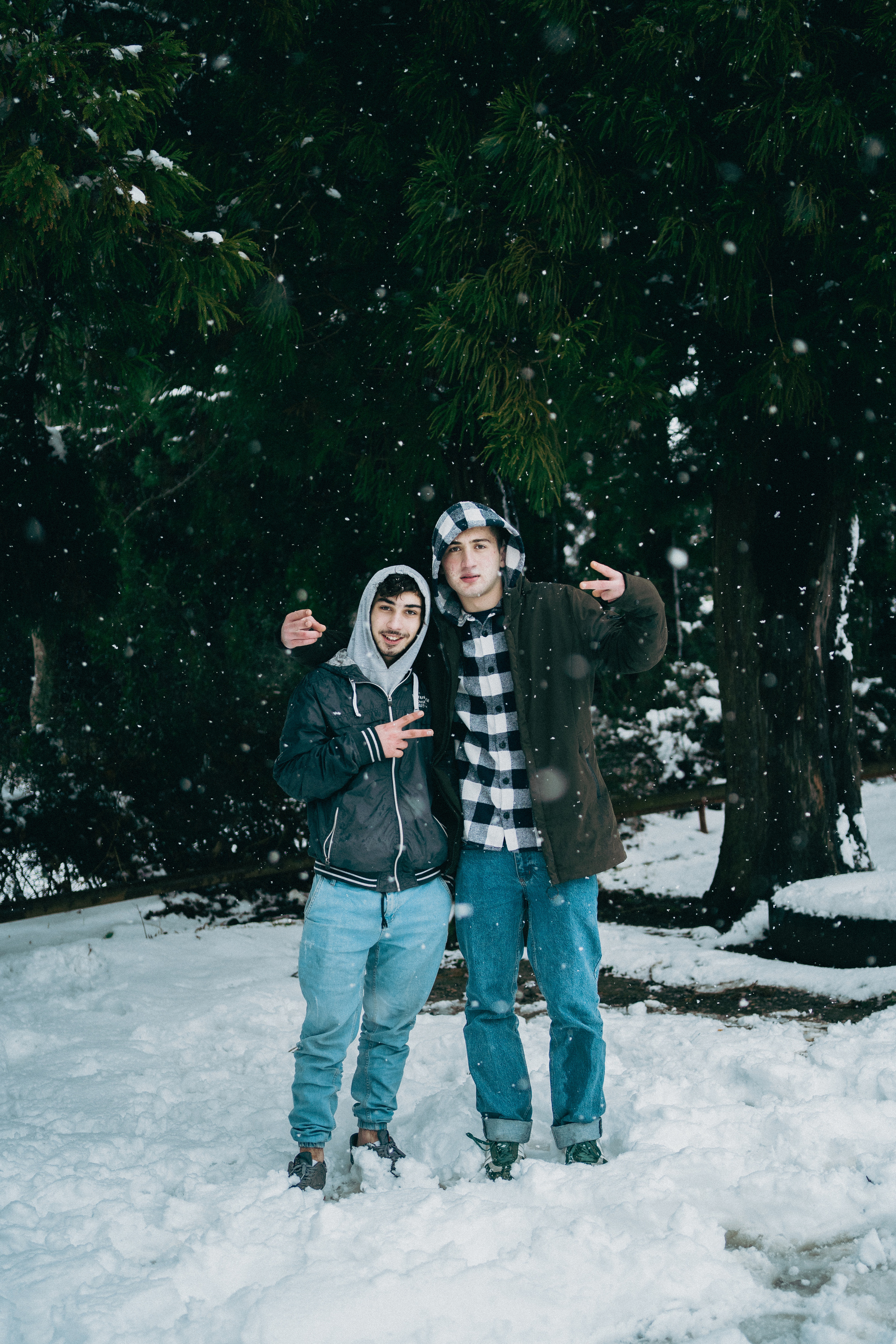 В погоне за снегом