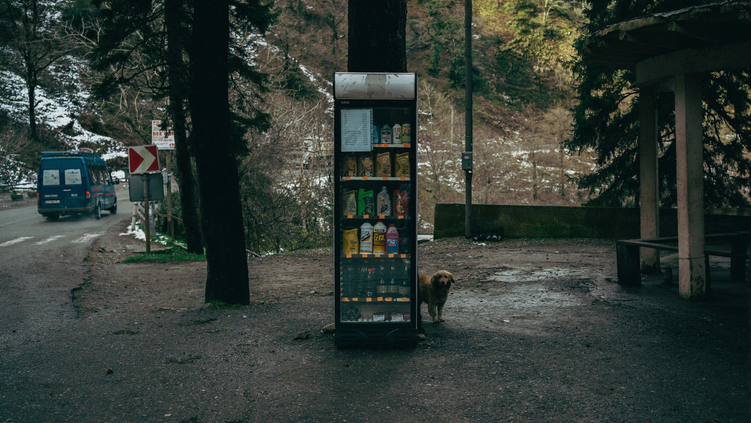 В погоне за снегом
