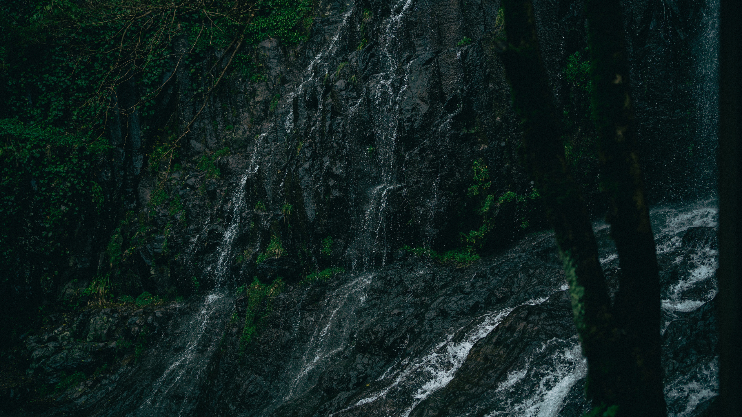 В погоне за снегом