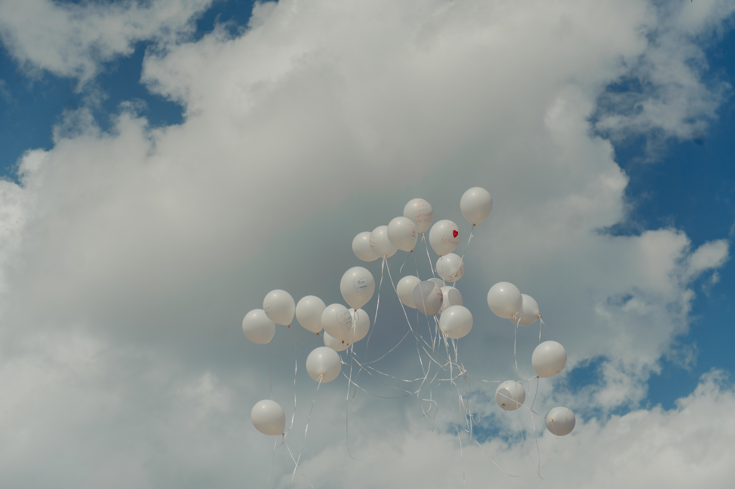 Сергей и Оюна. Семейный и свадебный фотограф в Улан-Удэ, Иркутске Илья Спектор