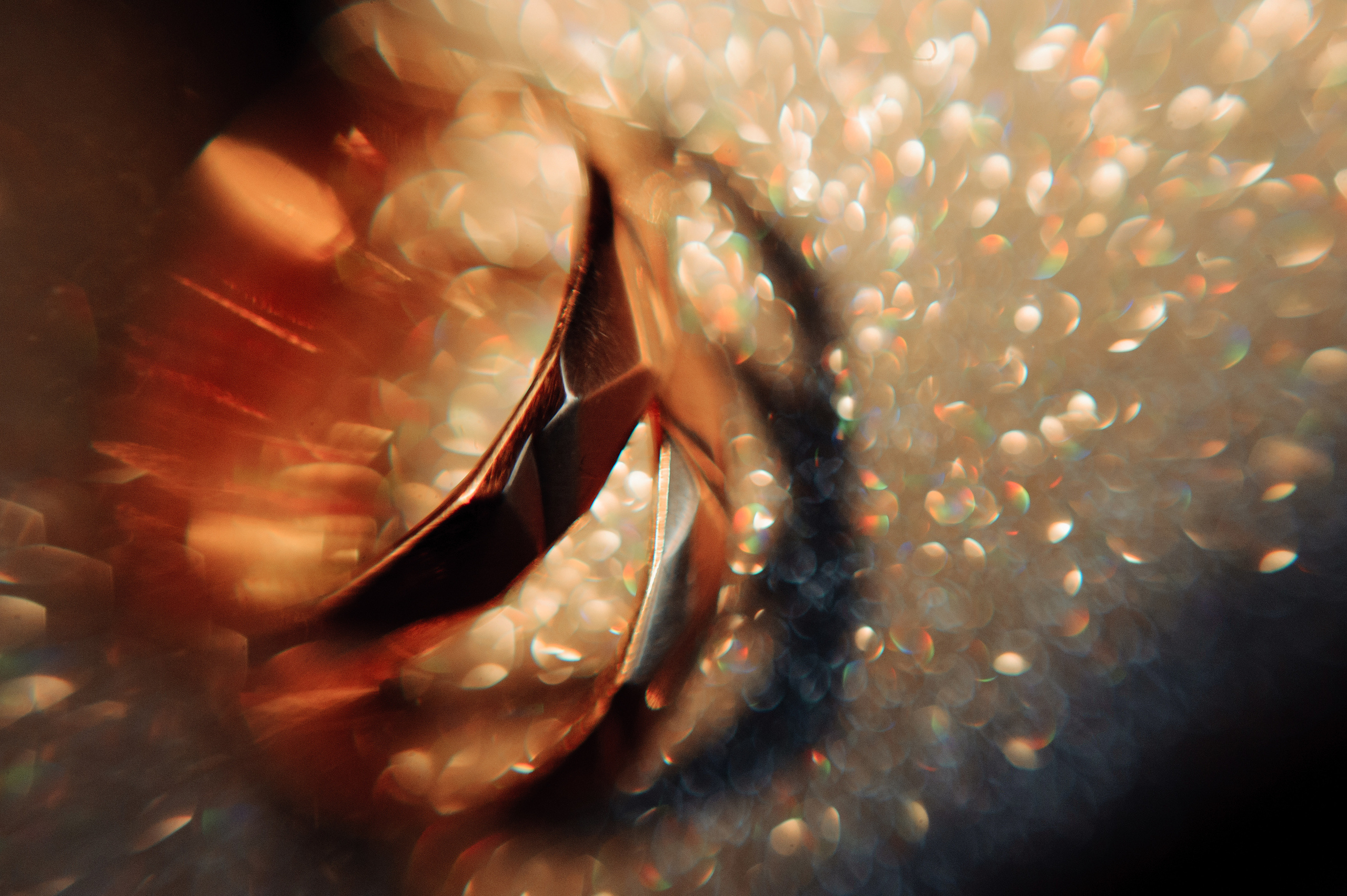 Сергей и Оюна. Семейный и свадебный фотограф в Улан-Удэ, Иркутске Илья Спектор