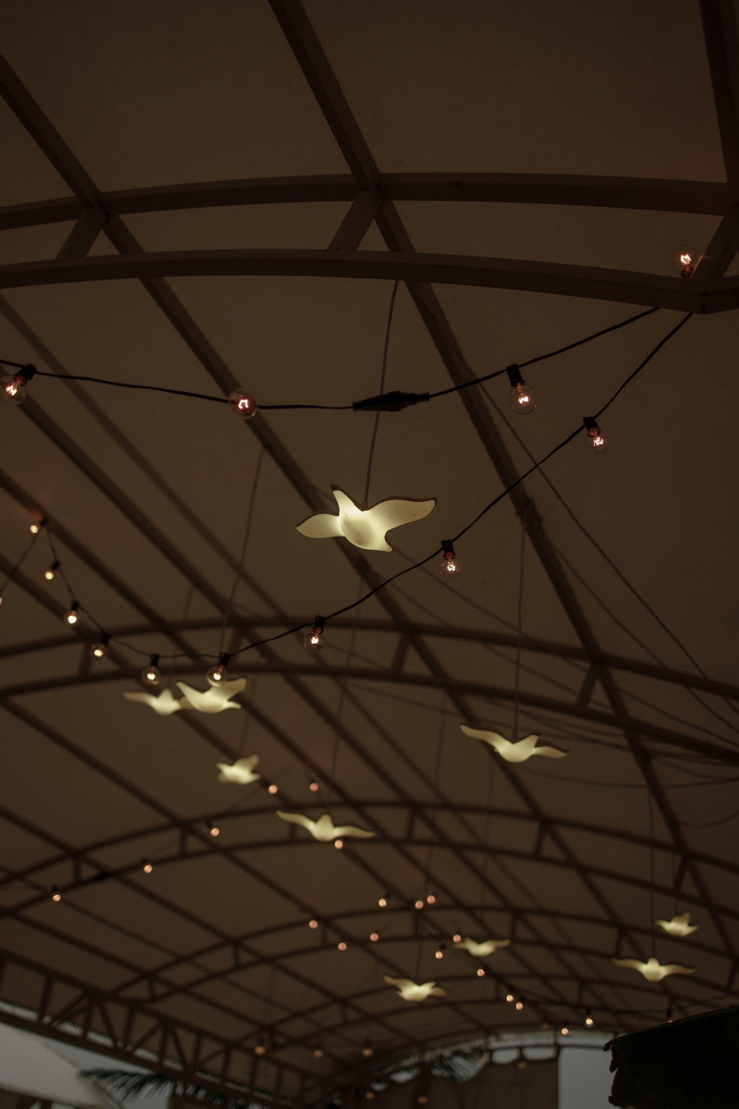 --. Фотограф Пятигорска Кисловодск Домбай Архыз