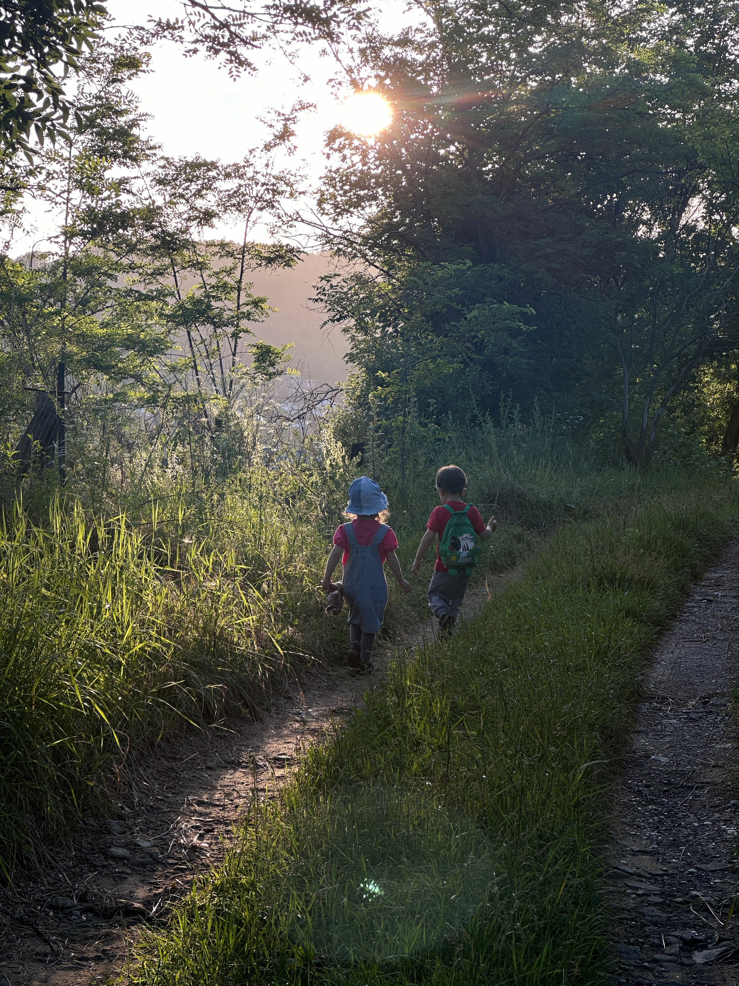 Дети. Смотри, красота!