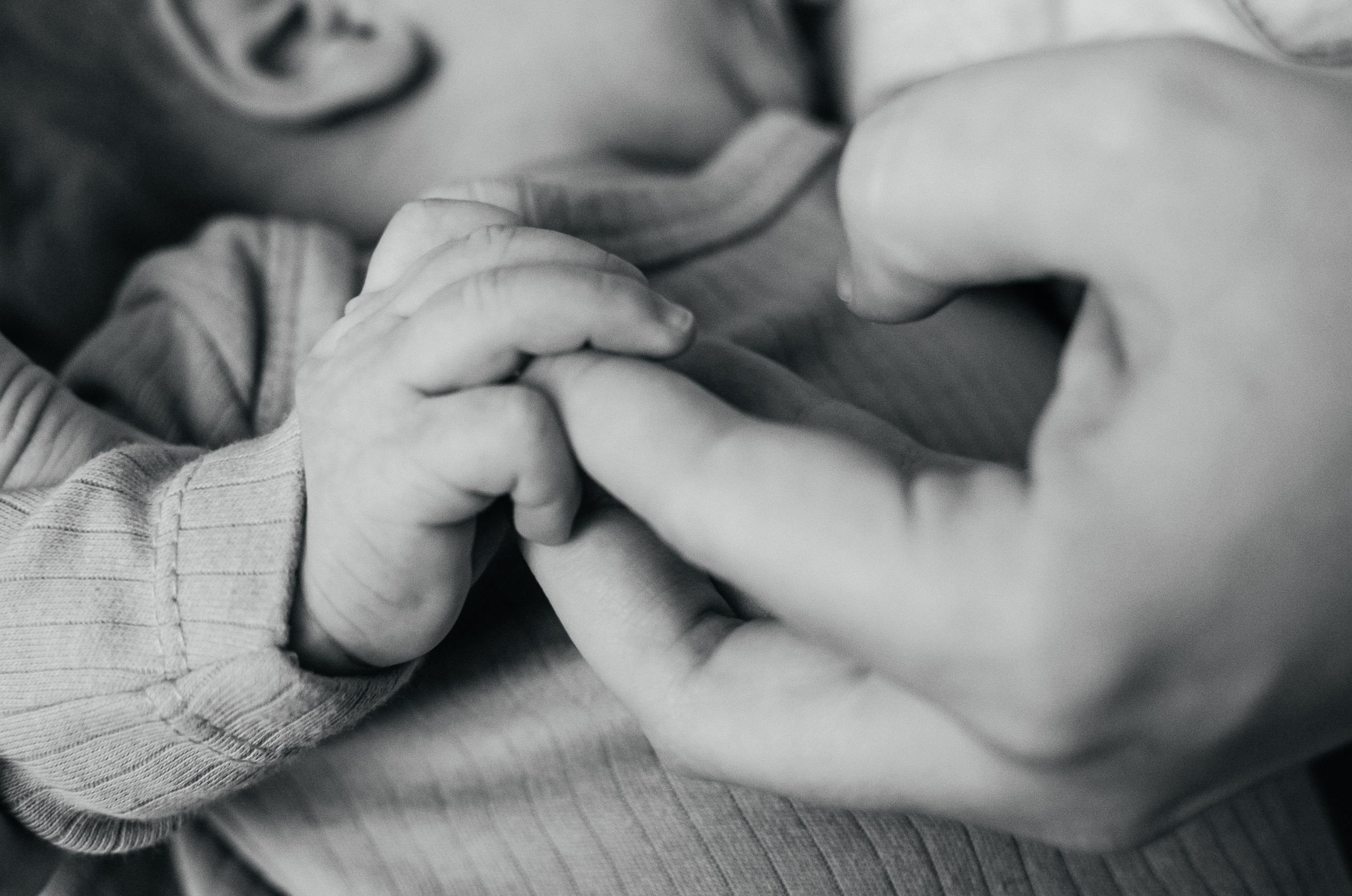 Арсений (ньюборн)