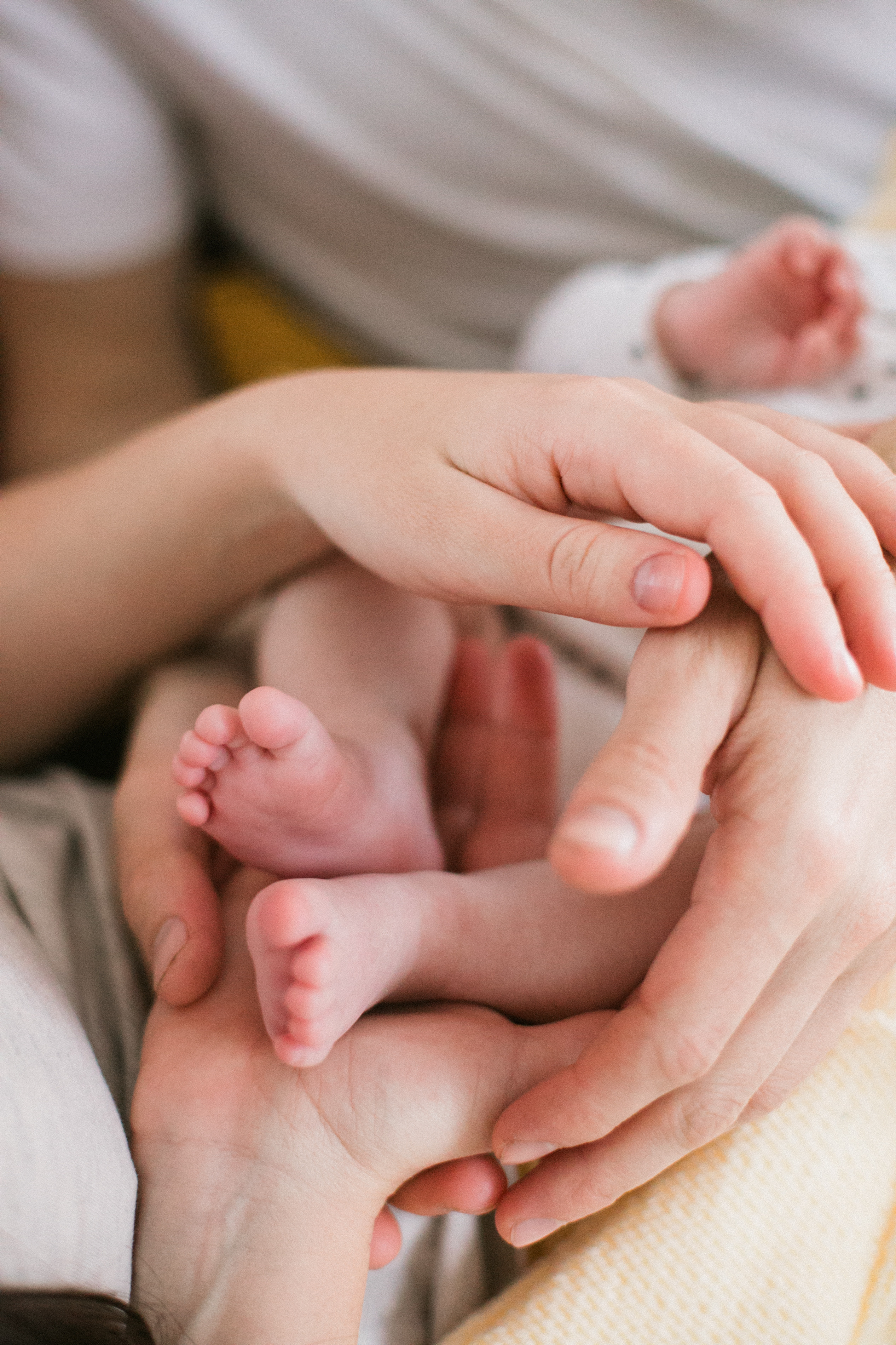 Антон, Тоня и Варя. Главная