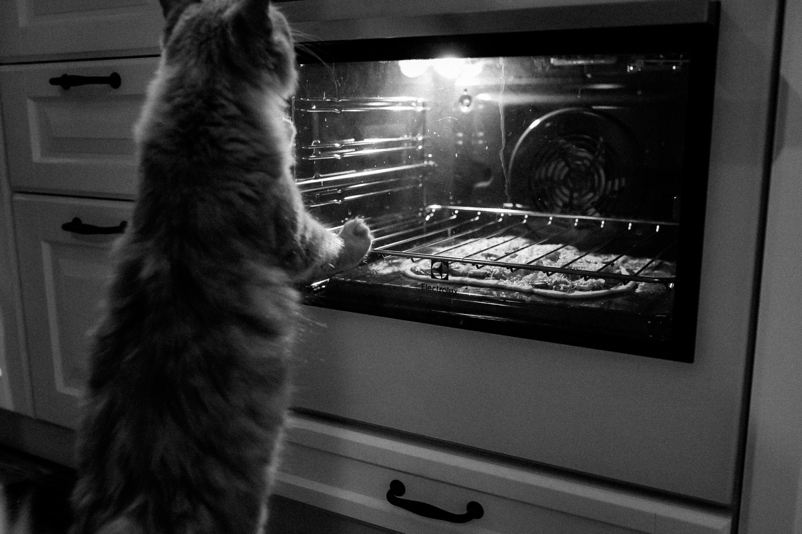 Антон и Тоня. Главная