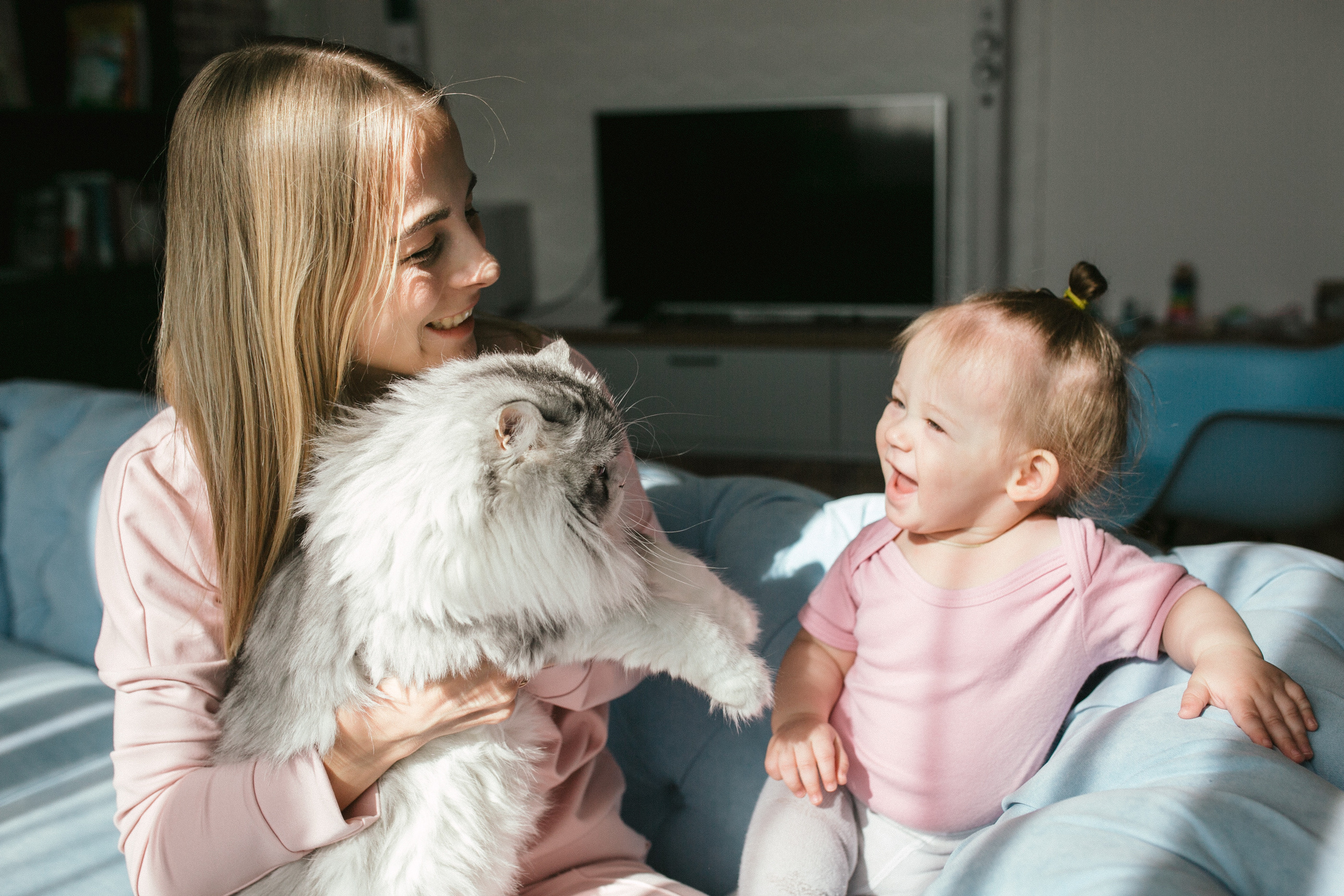 1 годик Мире. Главная