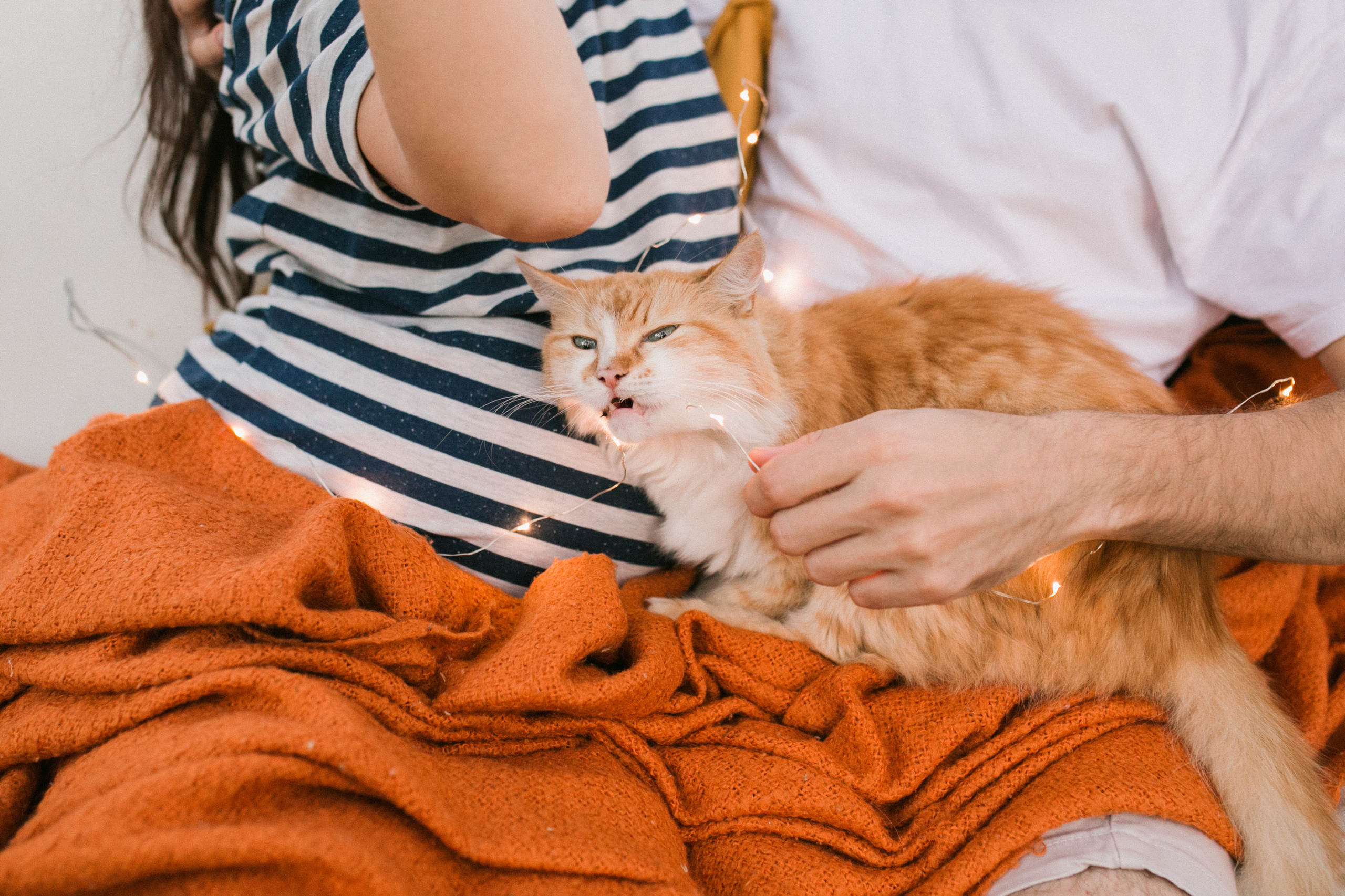 Антон и Тоня. Главная