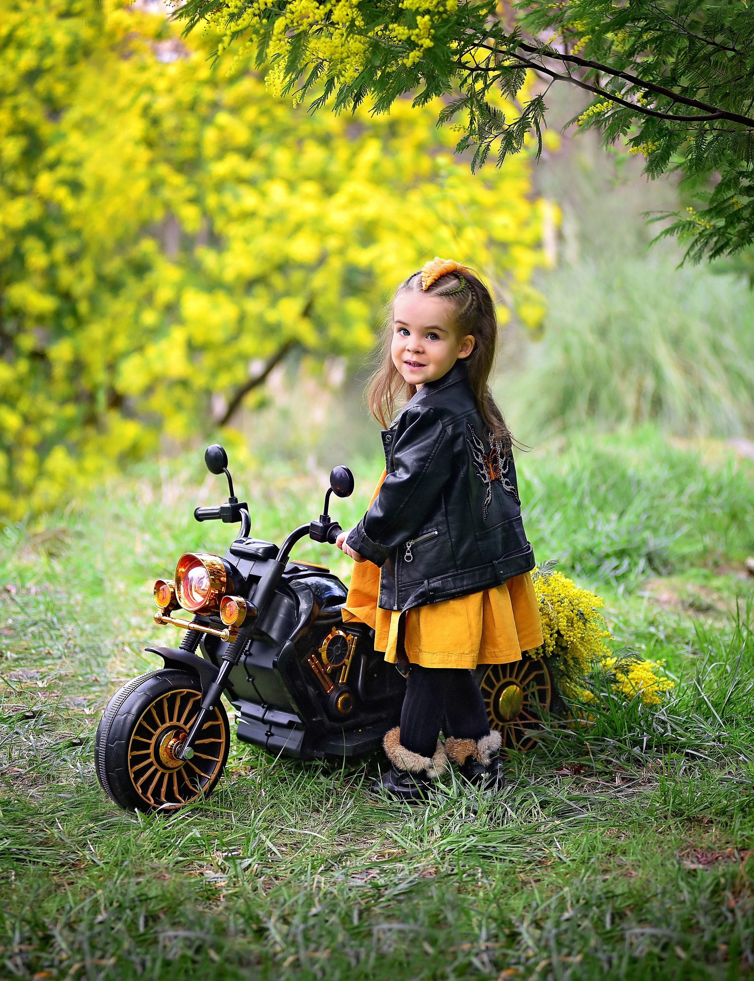 Мимоза. Главная