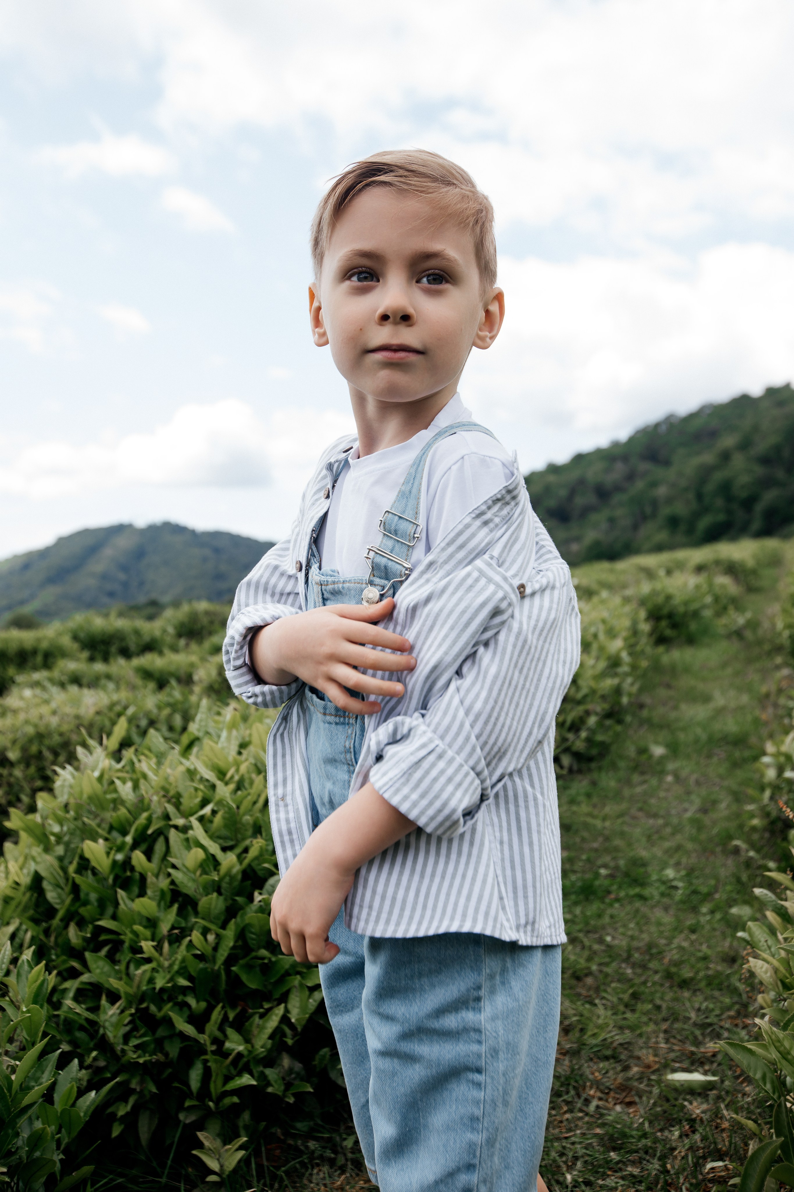 Tea plantation. Efimova Model Agency