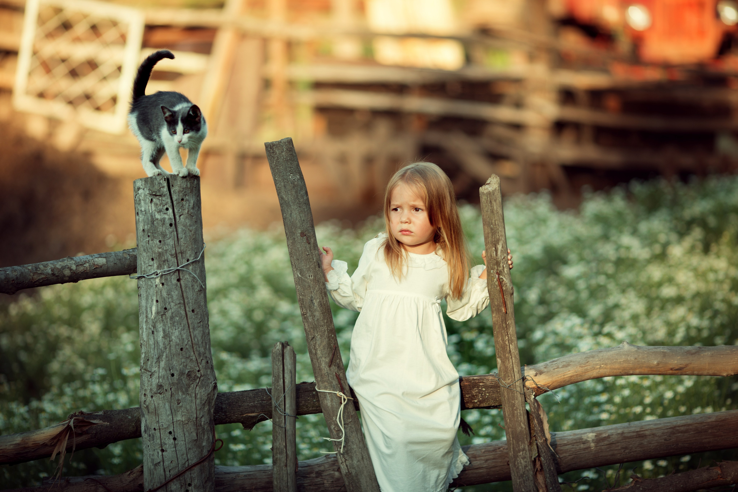 Портфолио. Карнеева Елена. Детский, семейный фотограф
